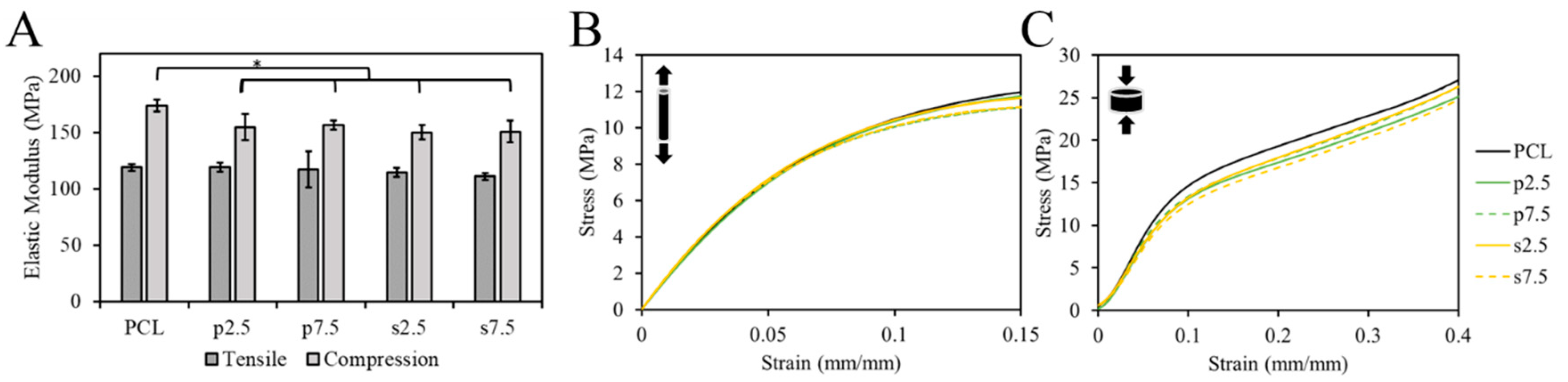 Materials 13 03364 g006