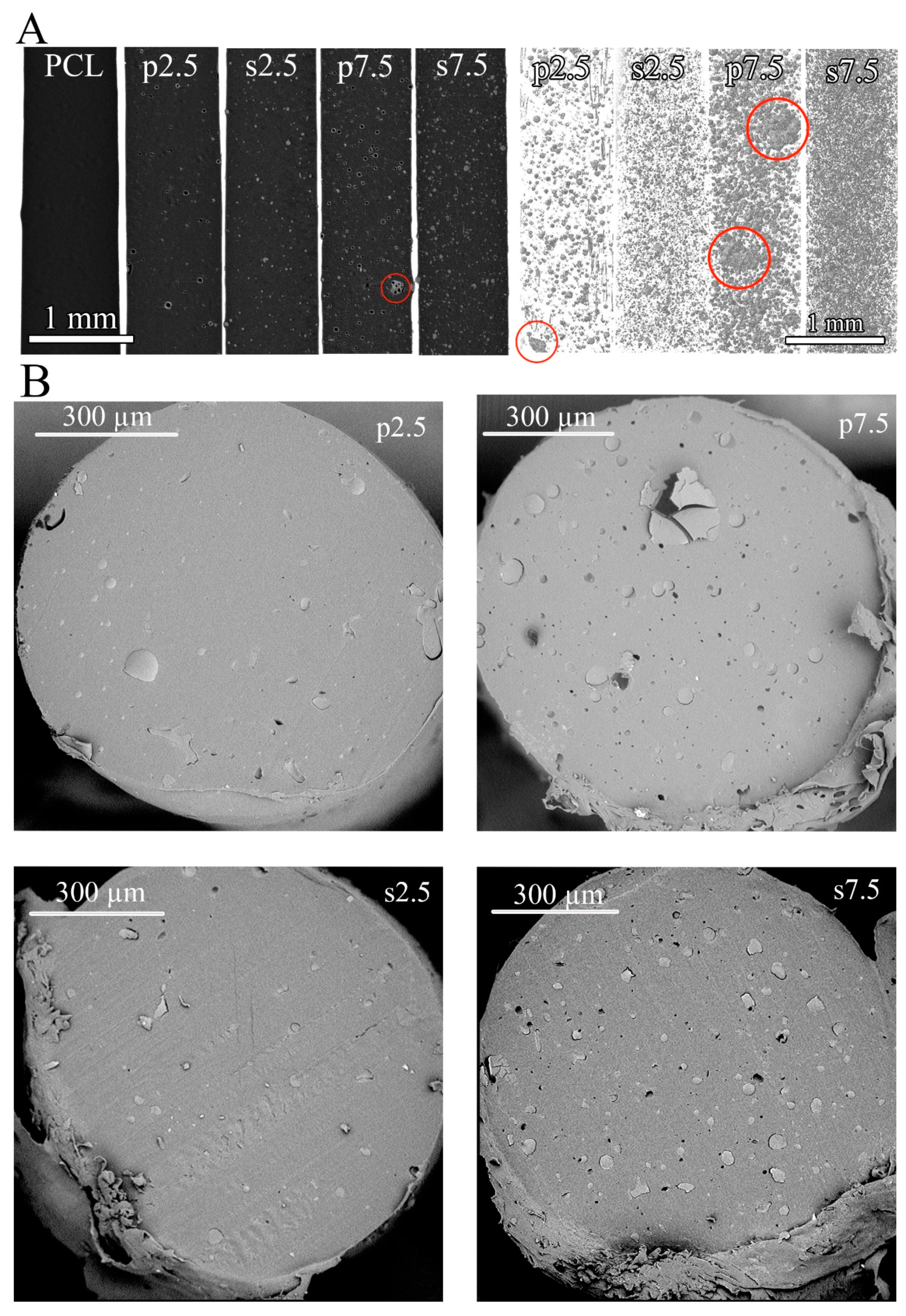 Materials 13 03364 g007