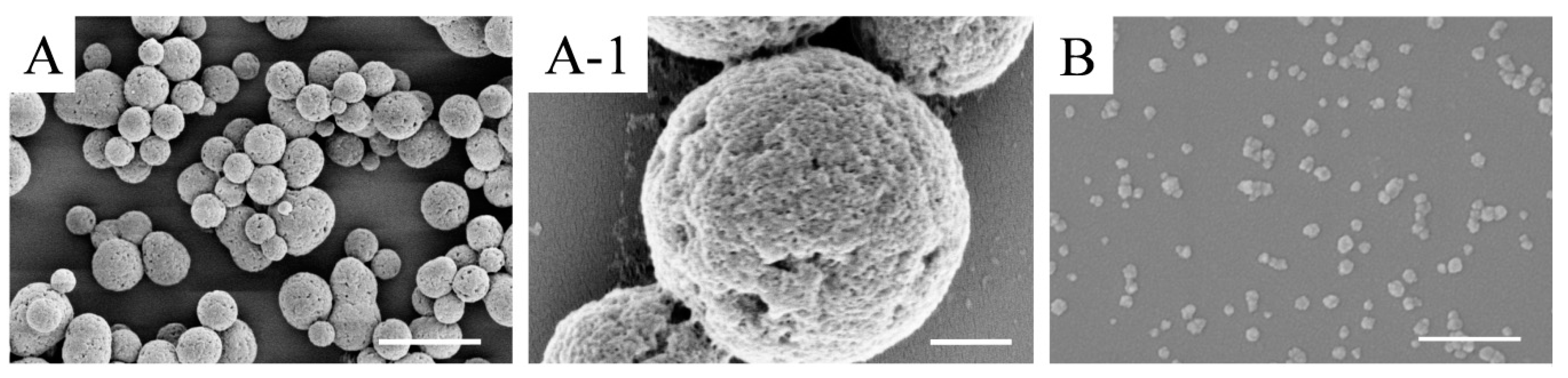 Materials 13 03372 g002 Materials 13 03372 g002