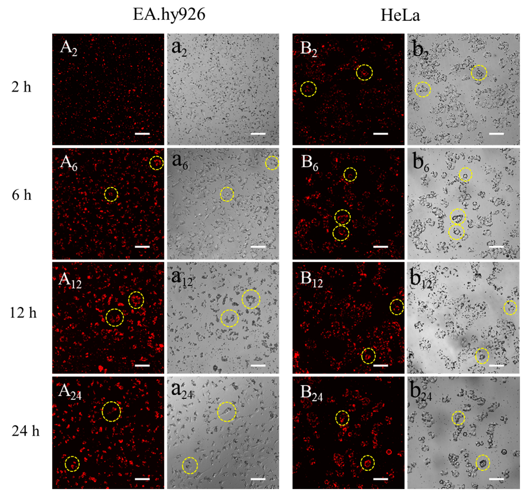 Materials 13 03372 g008 Materials 13 03372 g008