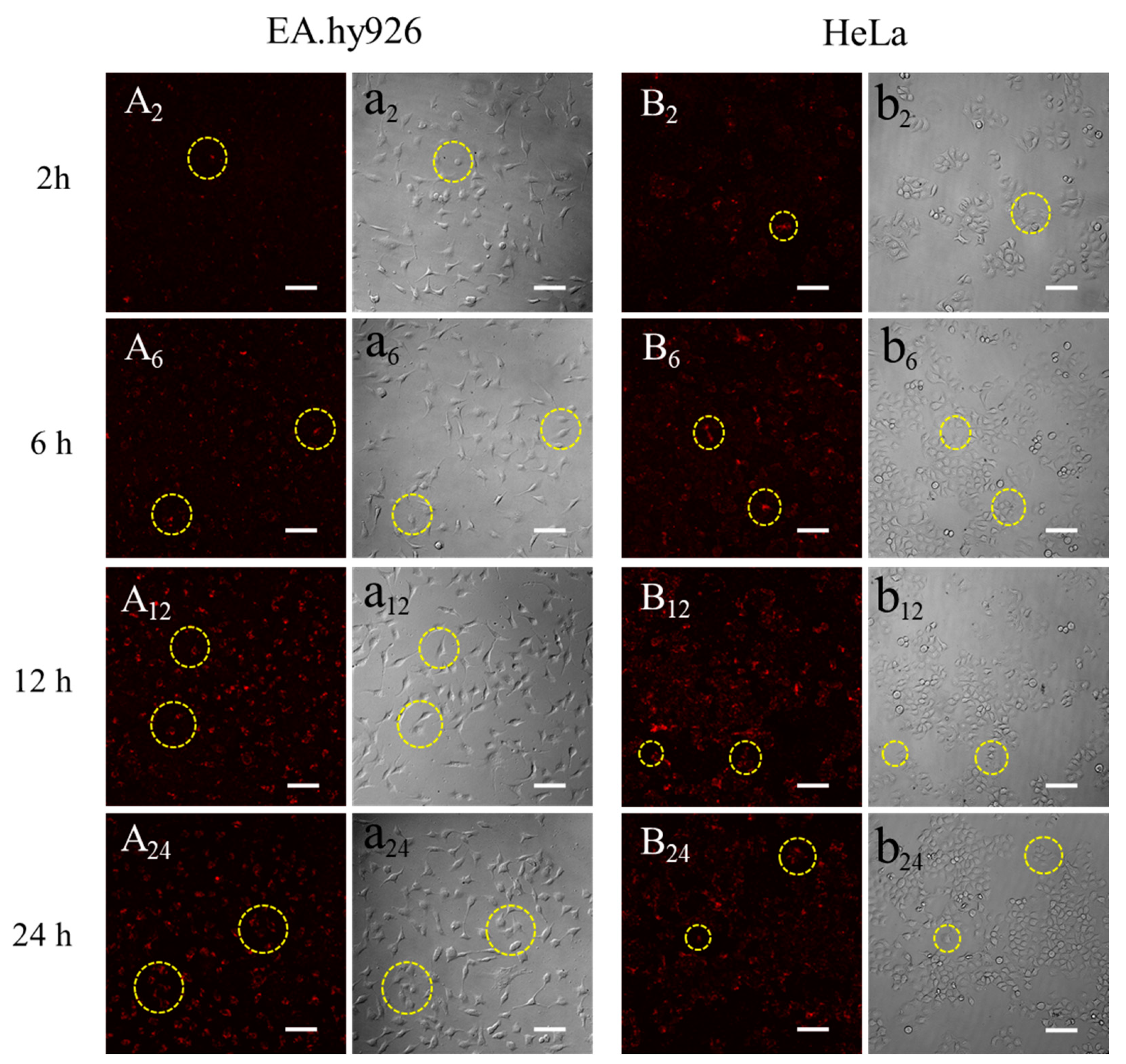 Materials 13 03372 g009 Materials 13 03372 g009