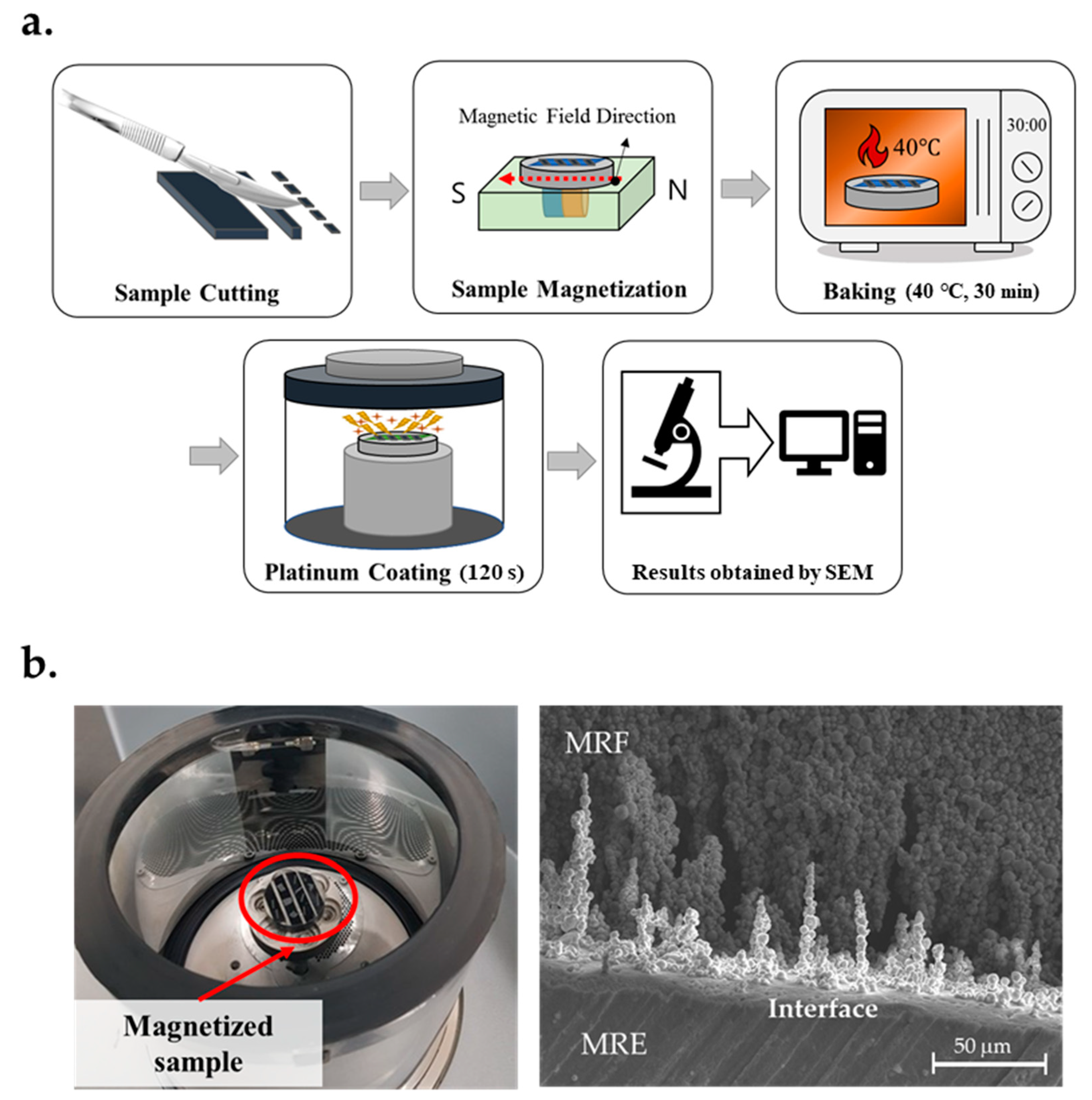 Materials 13 03378 g006 Materials 13 03378 g006
