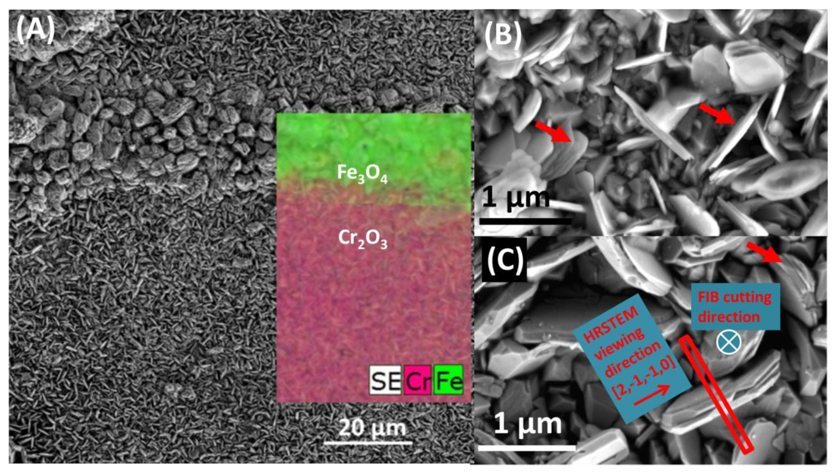 Materials 13 03382 g003 Materials 13 03382 g003