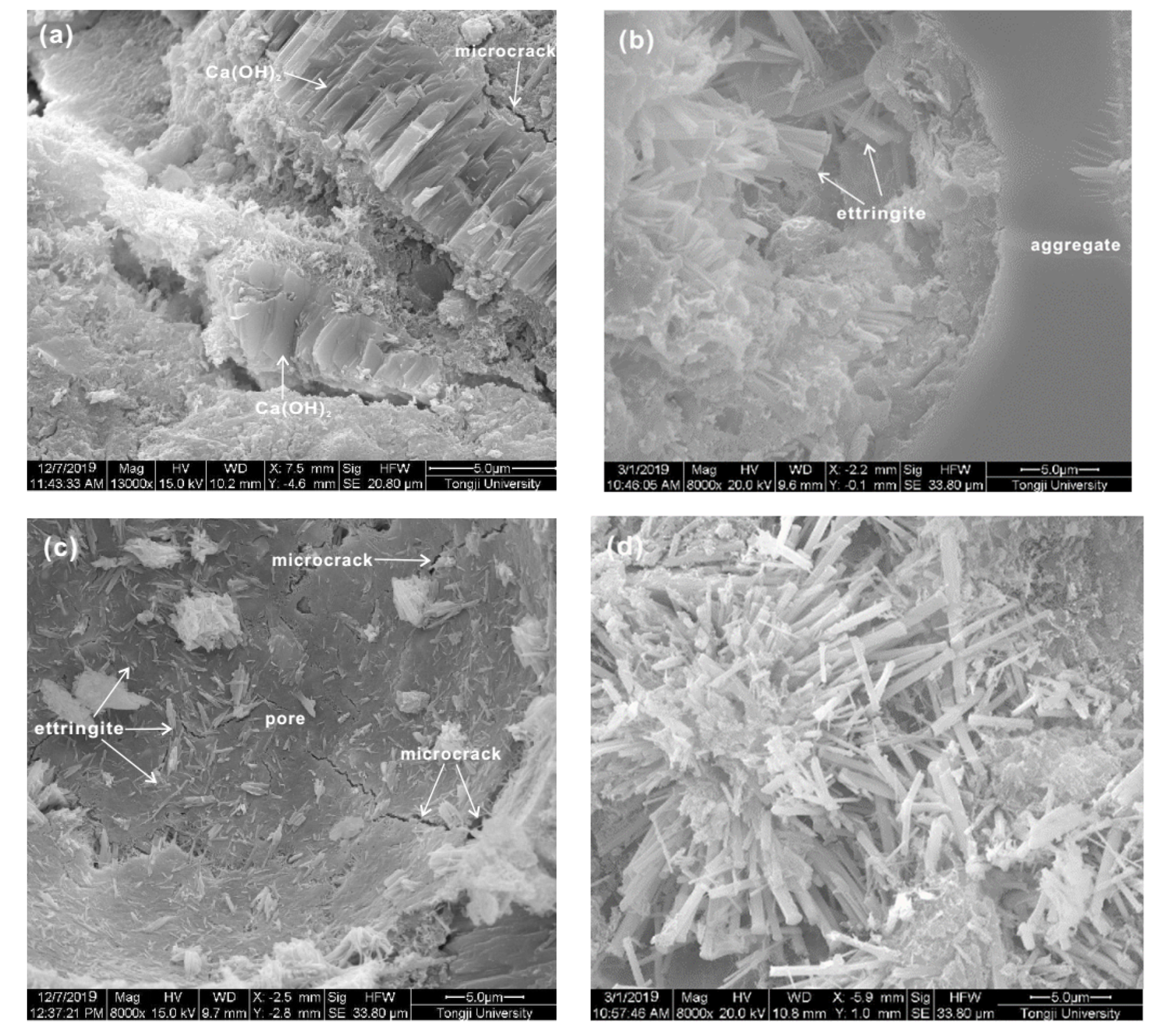 Materials 13 03383 g007 Materials 13 03383 g007