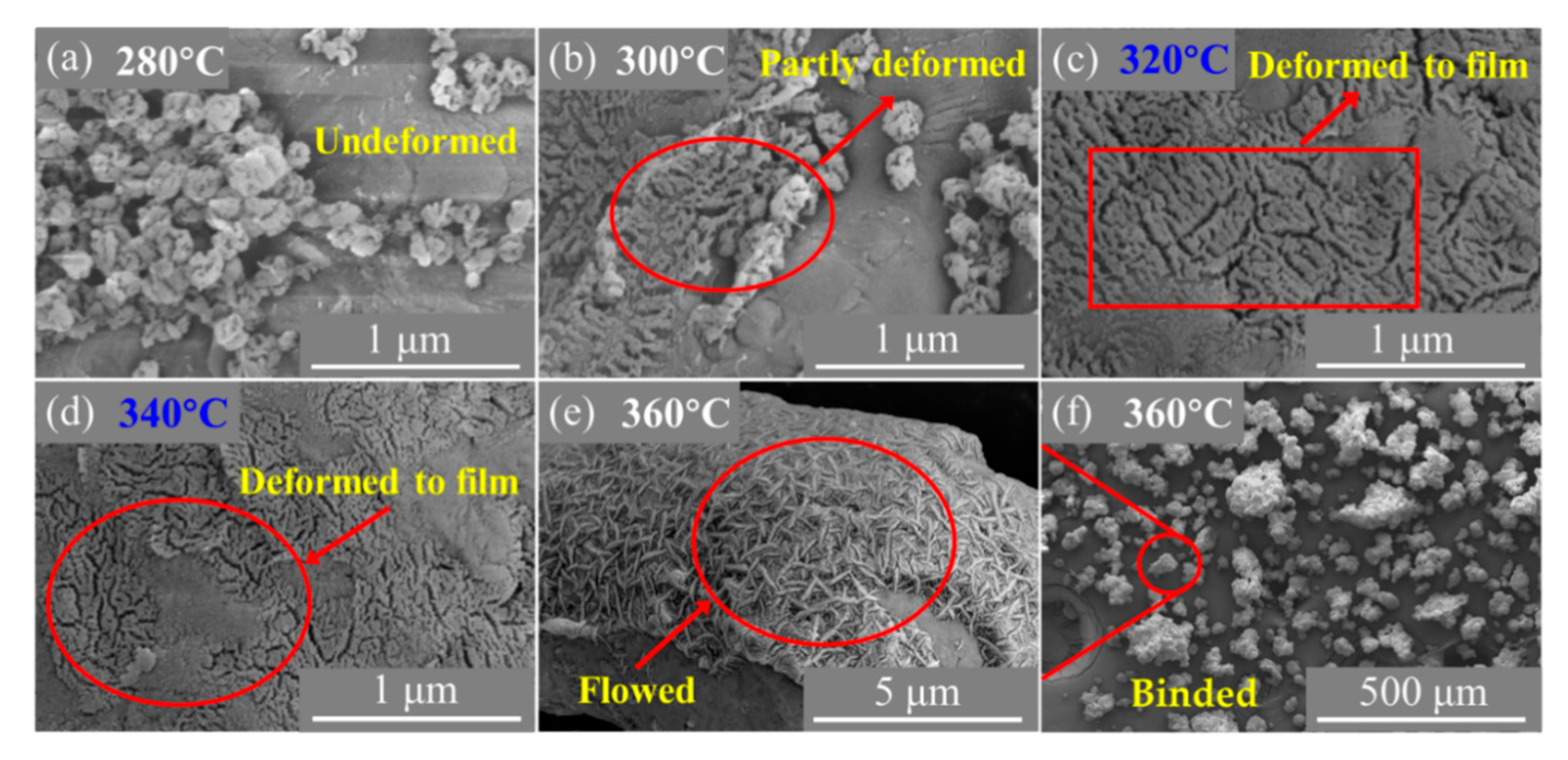 Materials 13 03384 g005