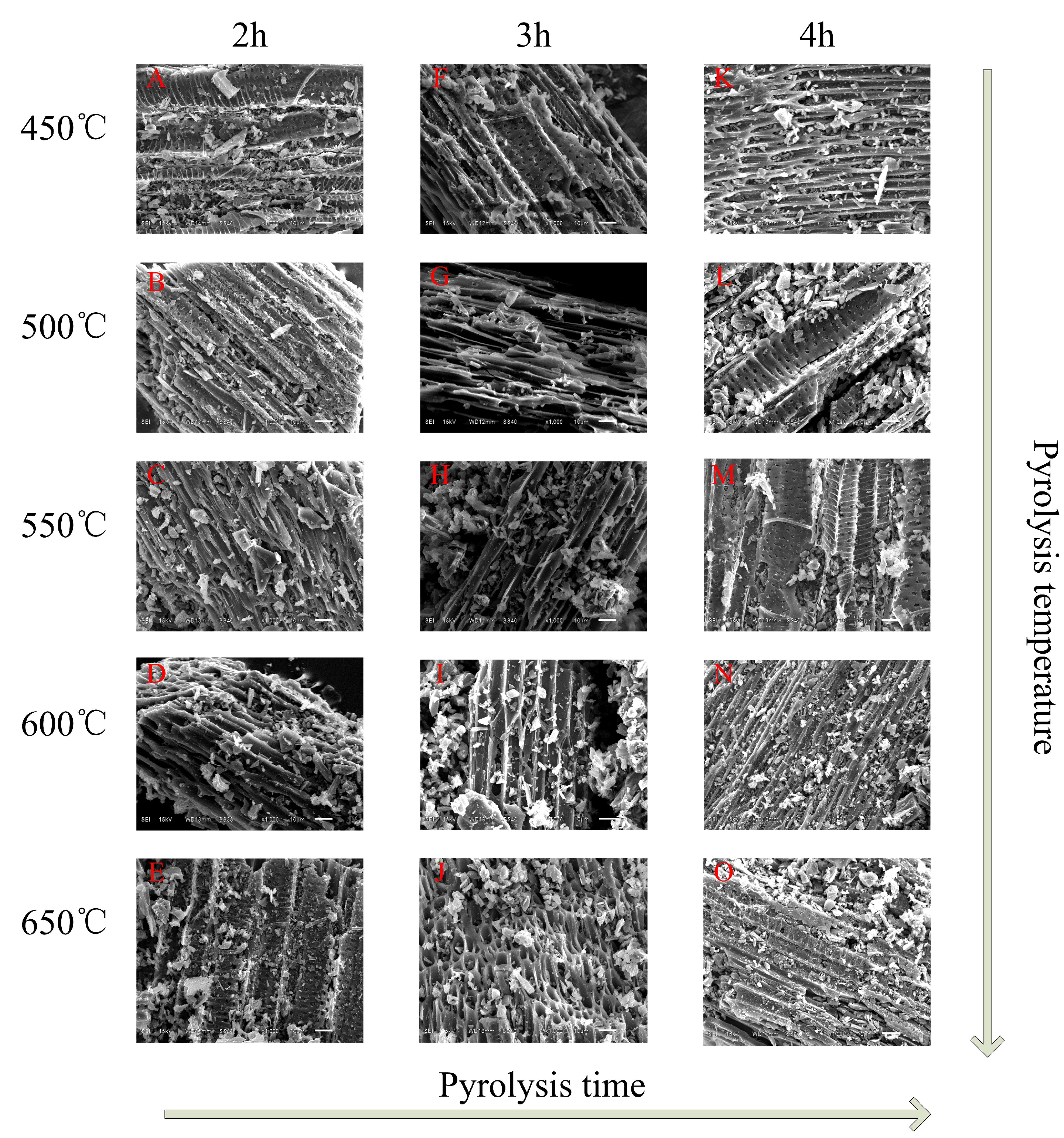 Materials 13 03391 g002 Materials 13 03391 g002