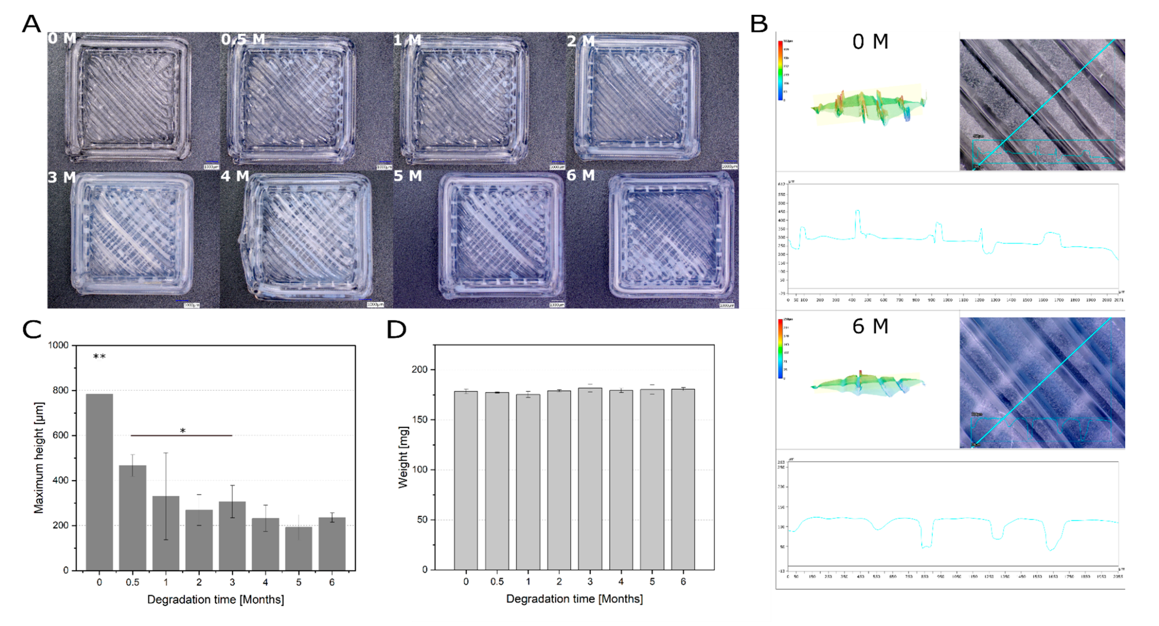 Materials 13 03399 g002
