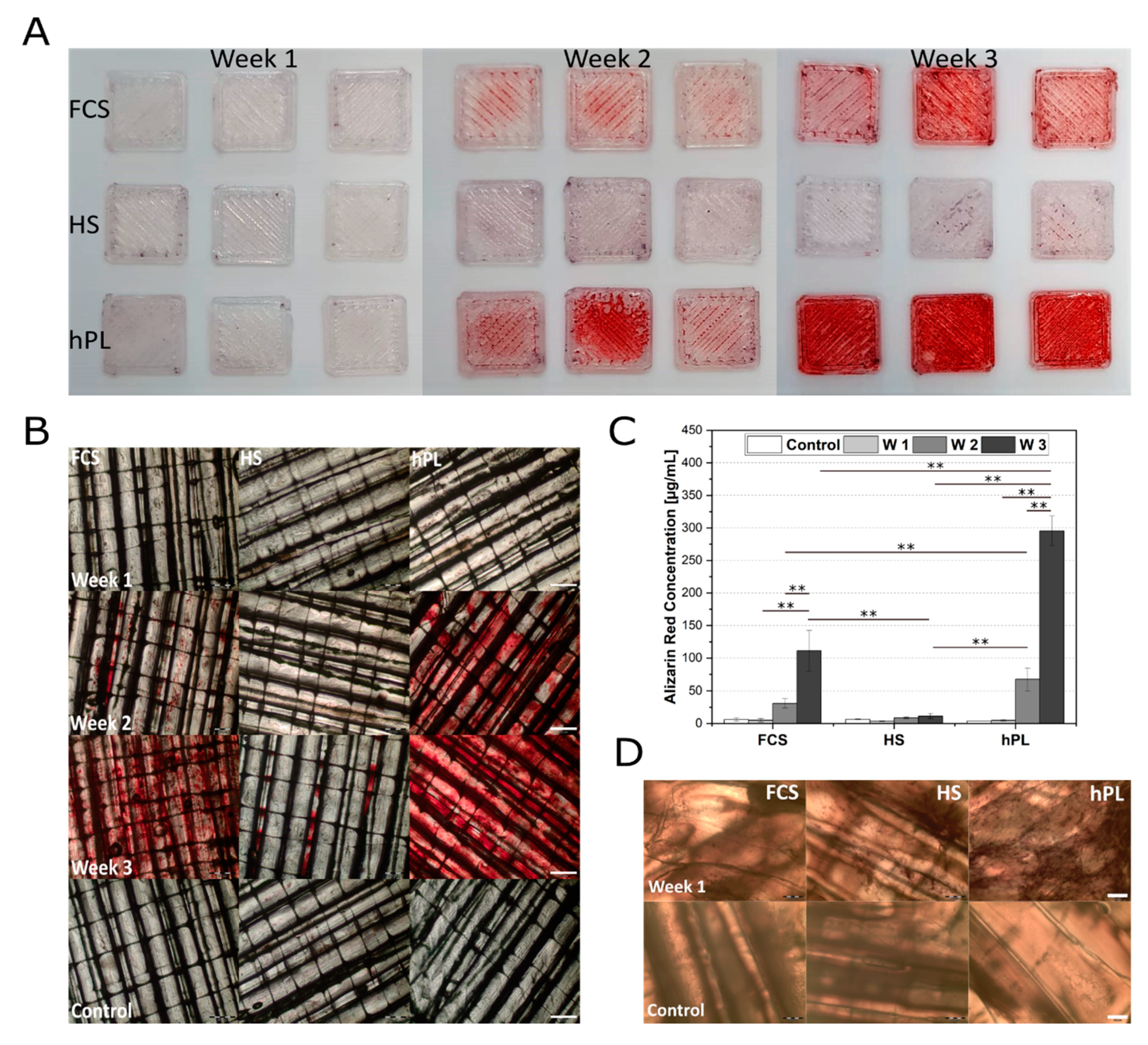 Materials 13 03399 g005