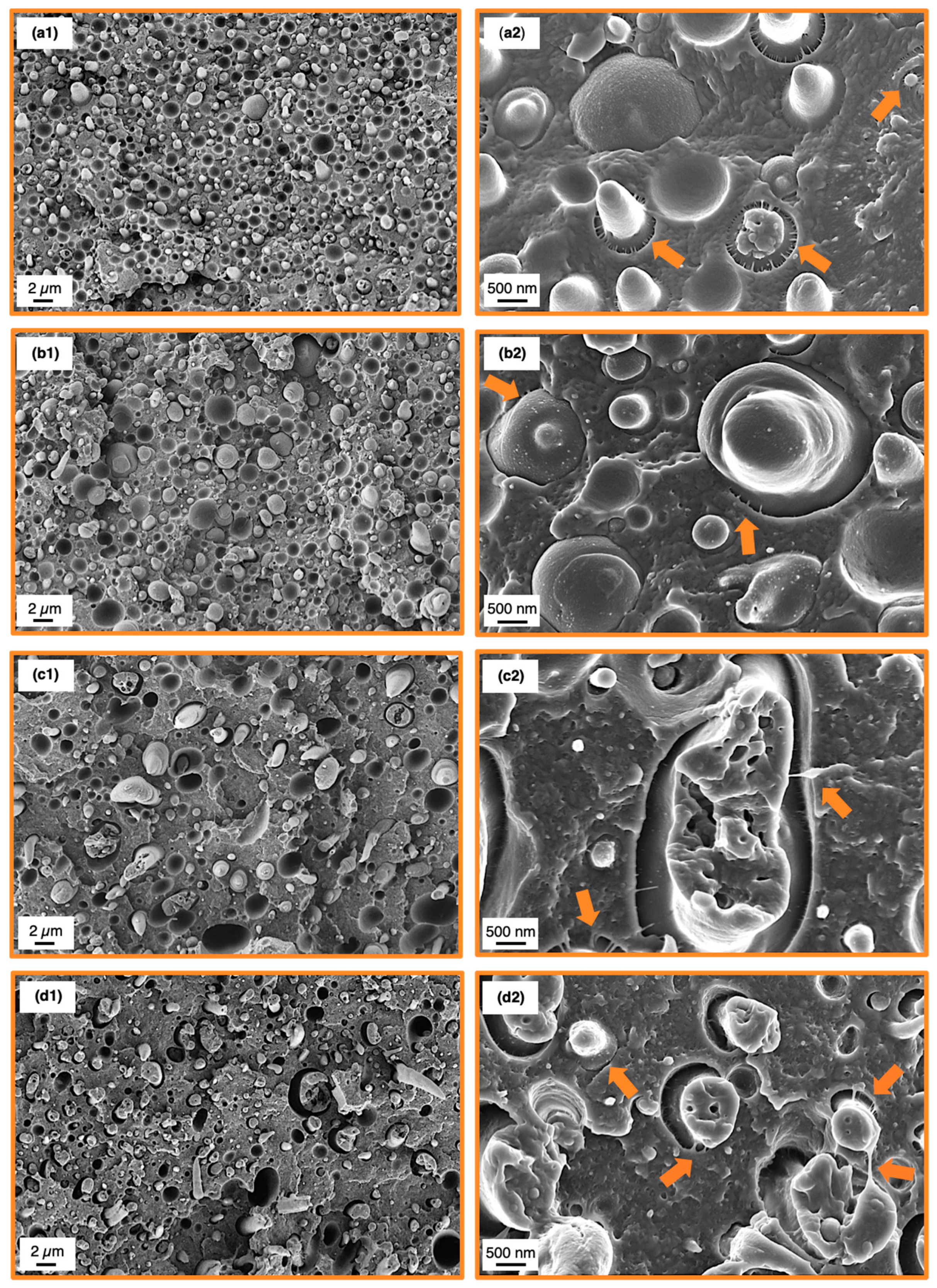Materials 13 03400 g006 Materials 13 03400 g006