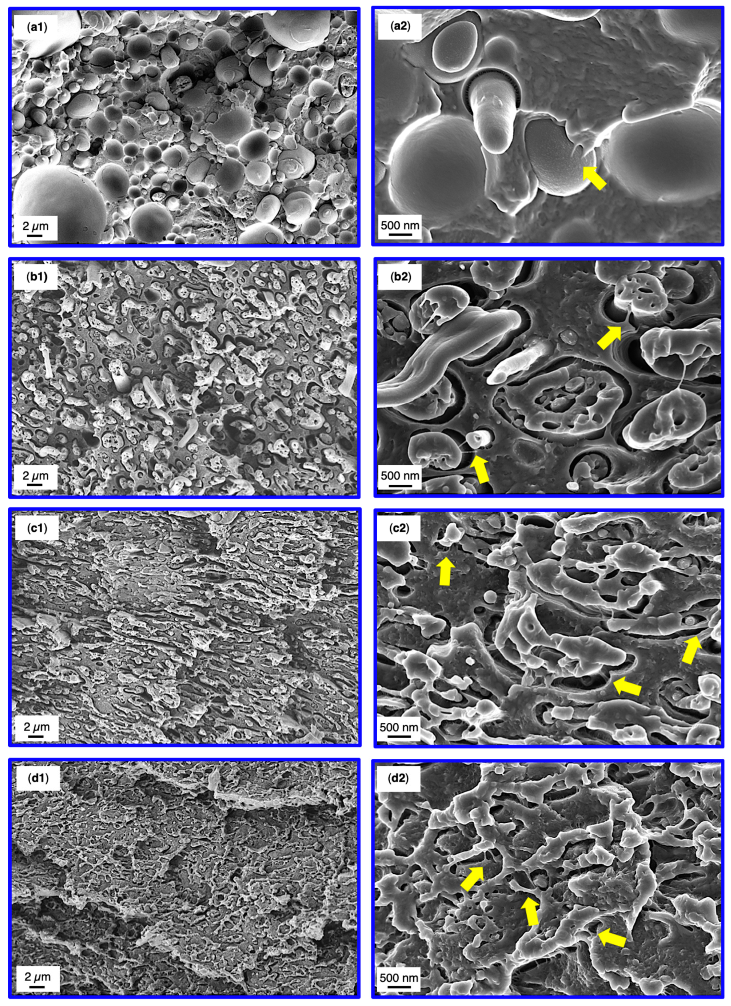 Materials 13 03400 g007 Materials 13 03400 g007