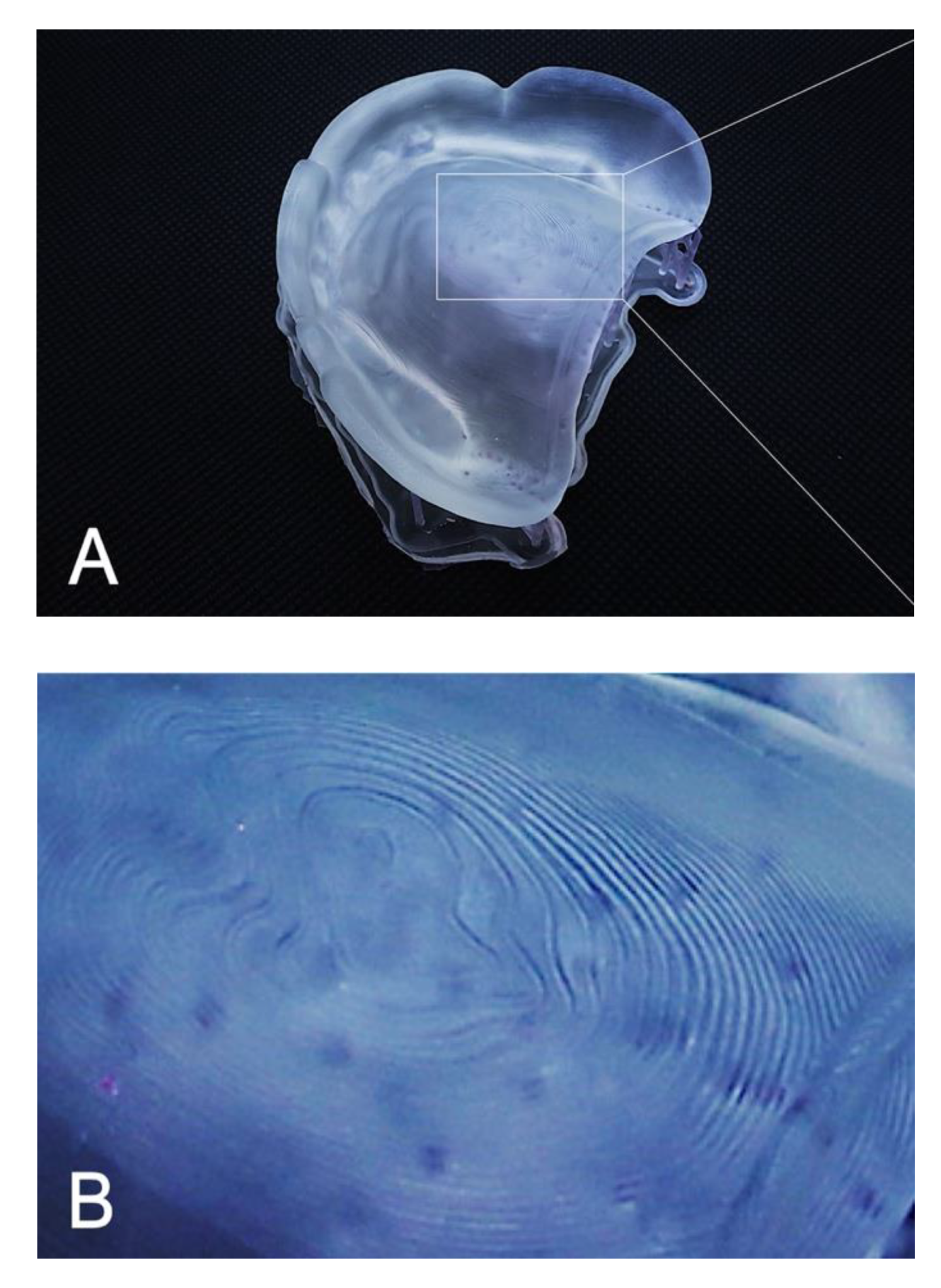 Materials 13 03405 g006