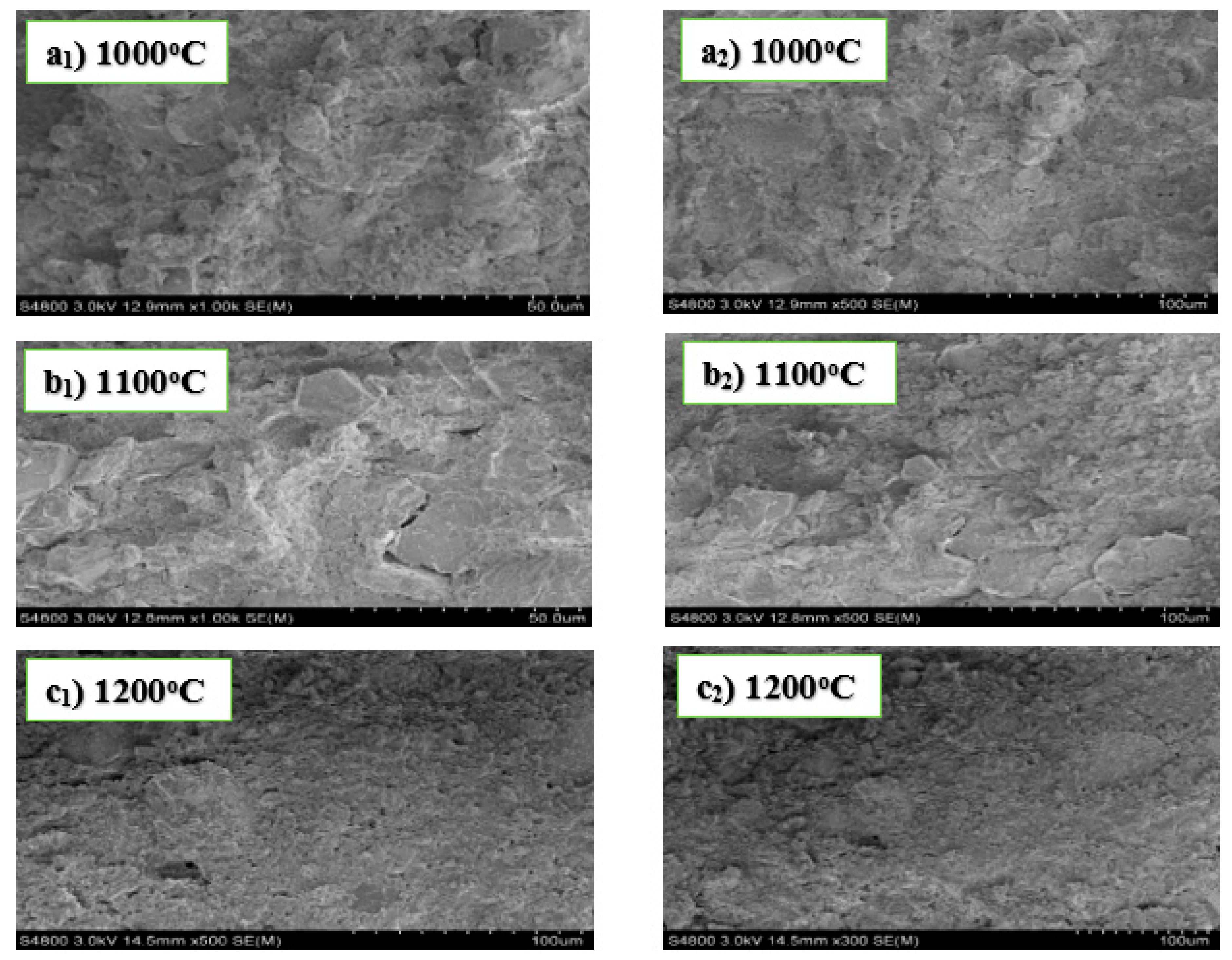 Materials 13 03406 g002