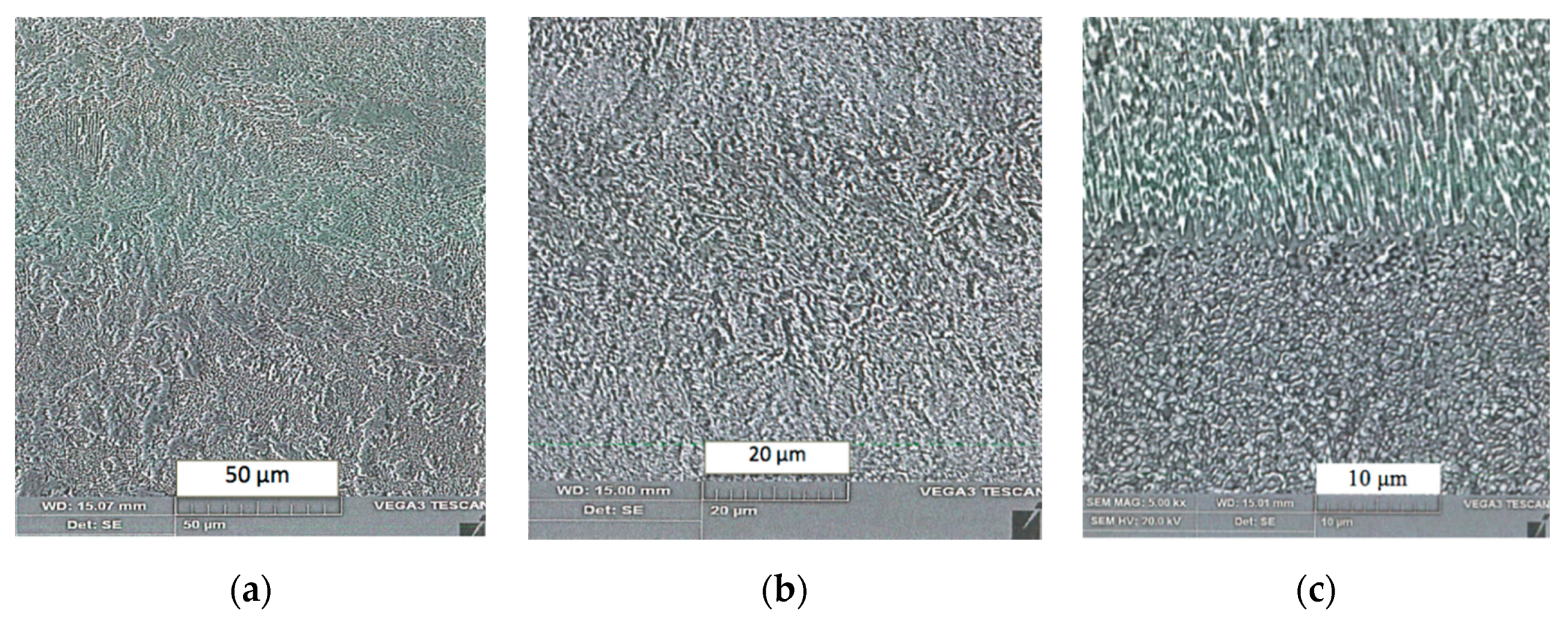 Materials 13 03408 g010 Materials 13 03408 g010