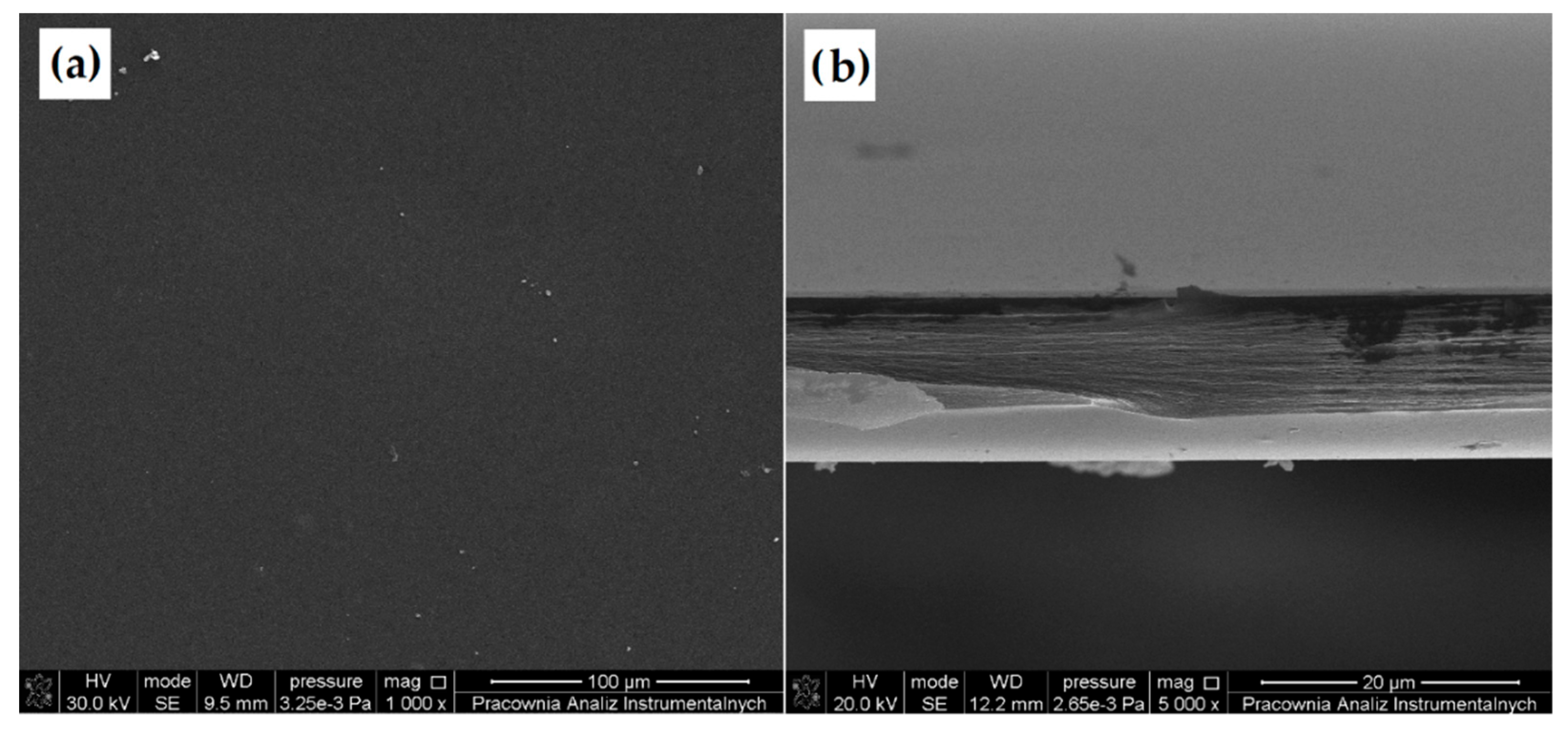 Materials 13 03413 g009