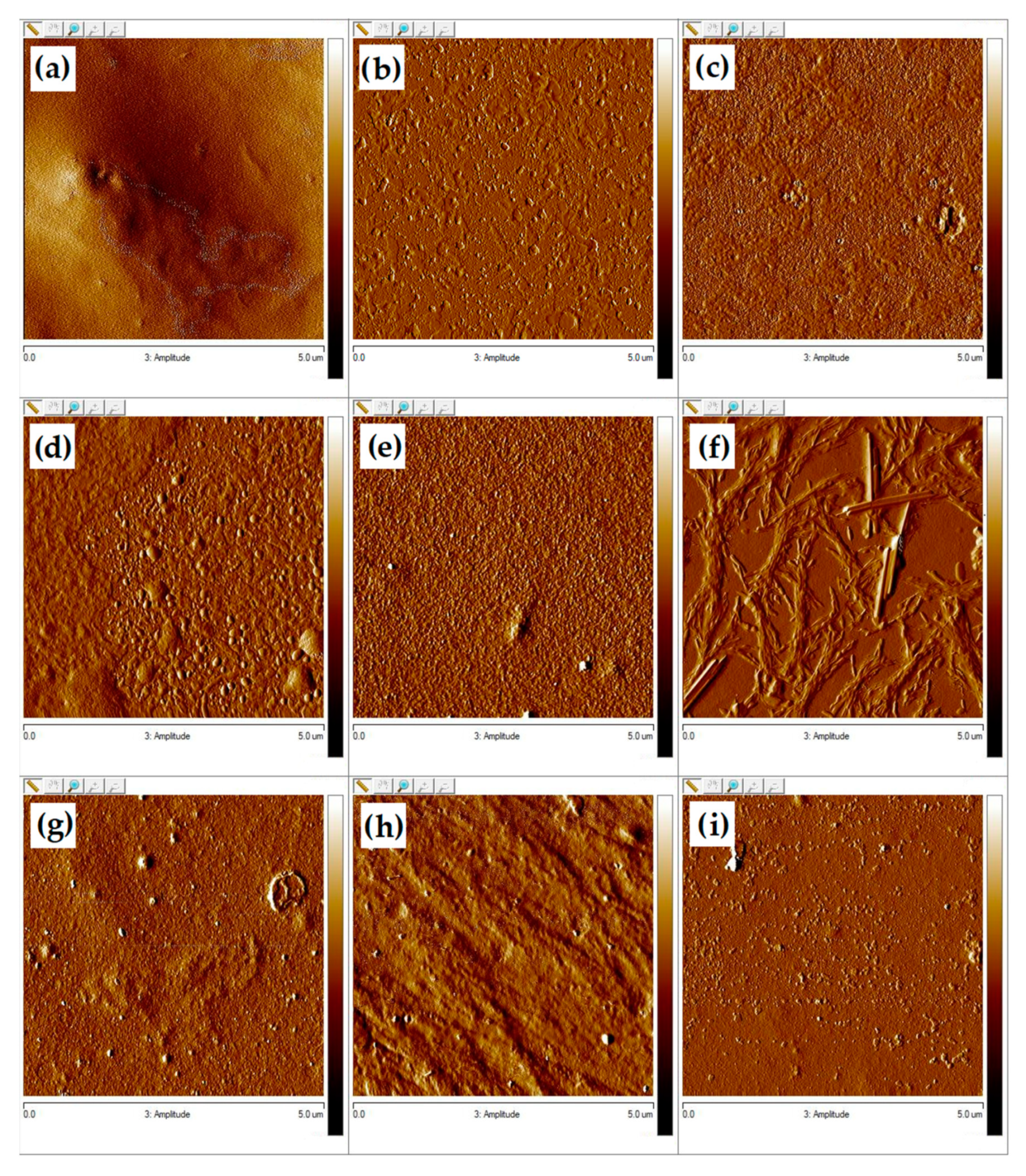 Materials 13 03413 g012