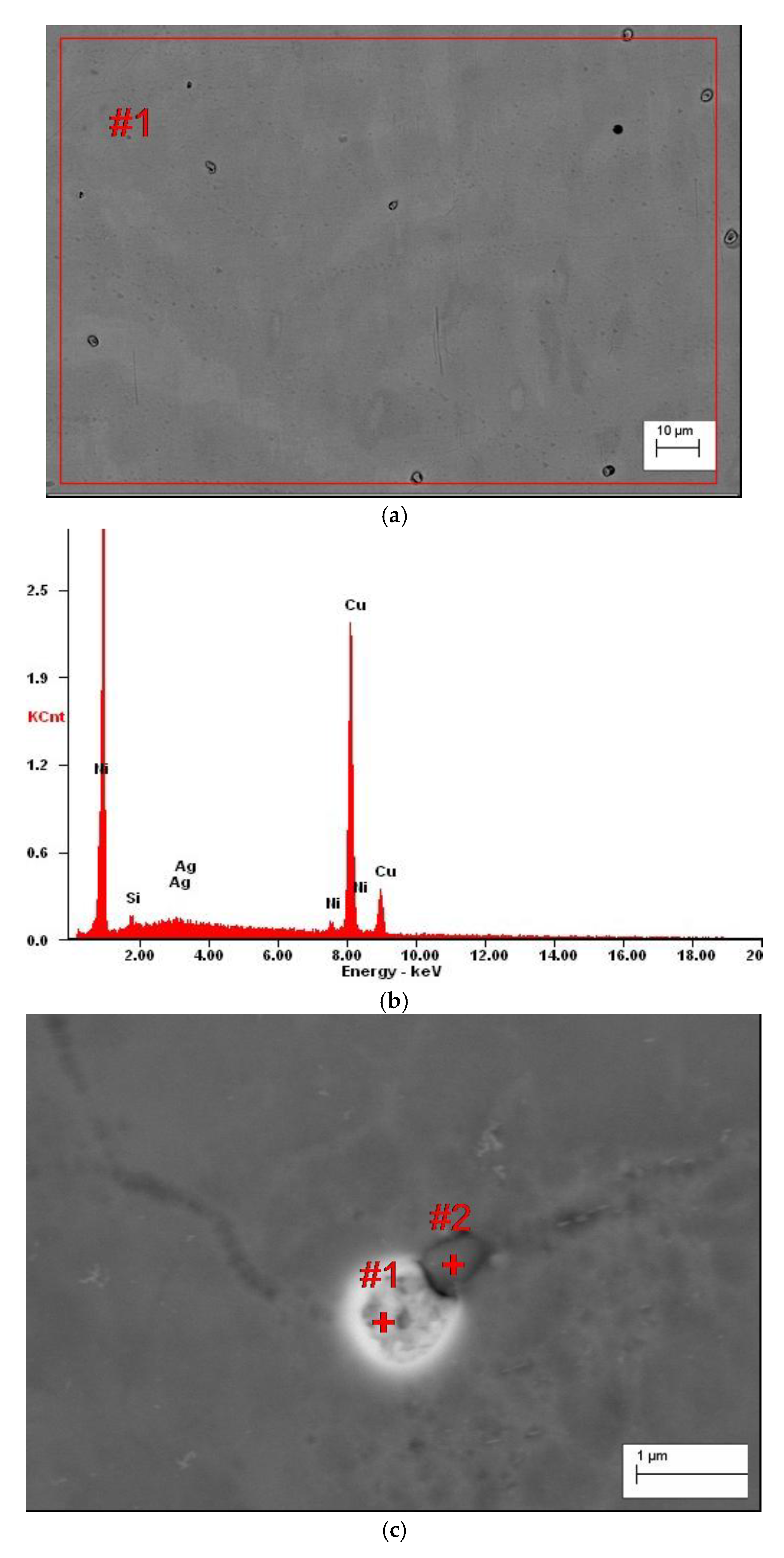 Materials 13 03416 g006a Materials 13 03416 g006a