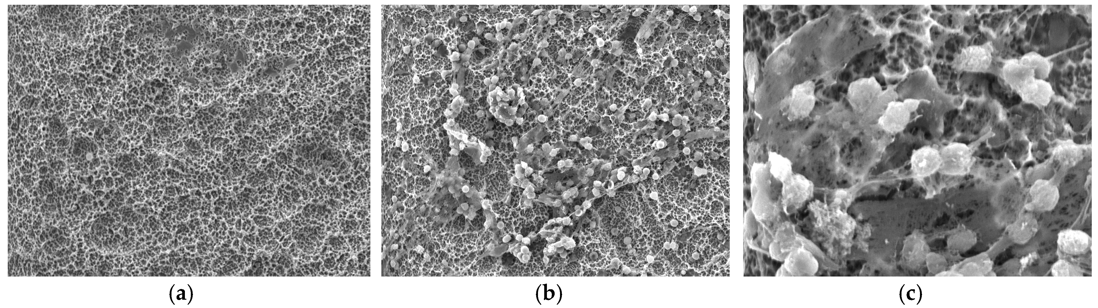 Materials 13 03421 g004 Materials 13 03421 g004