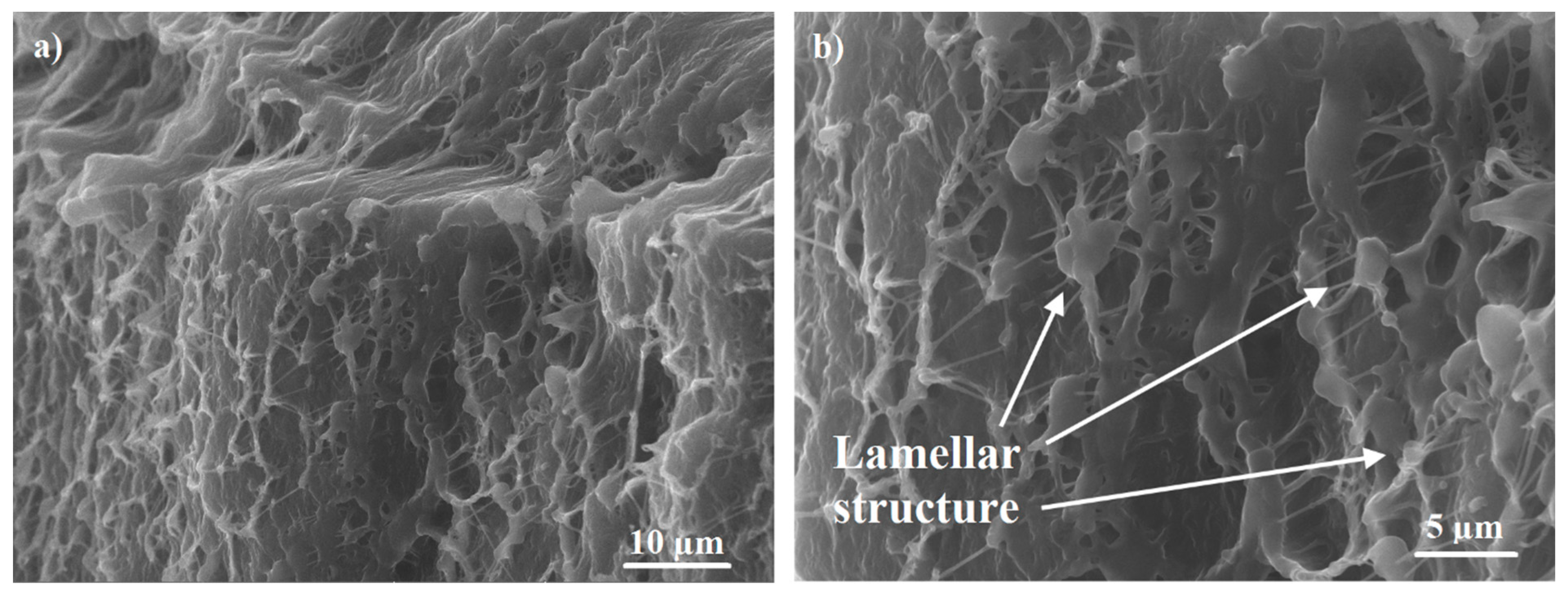 Materials 13 03422 g005