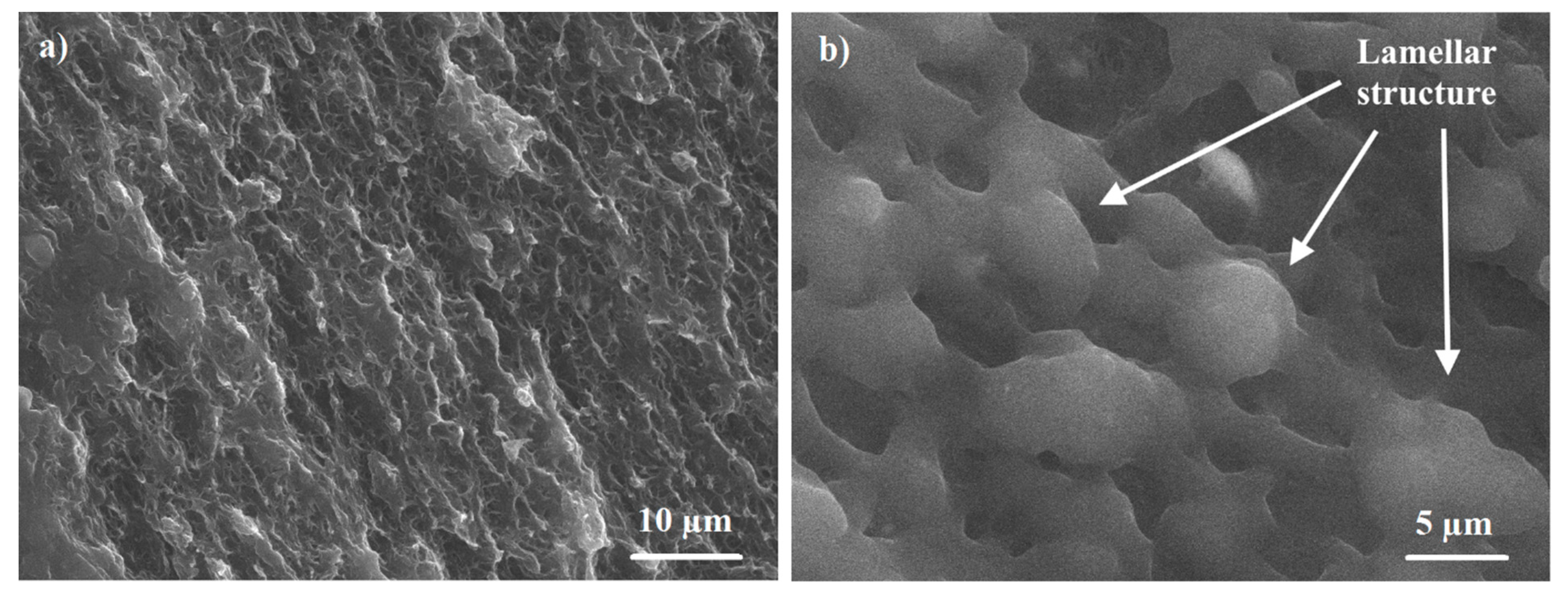 Materials 13 03422 g006