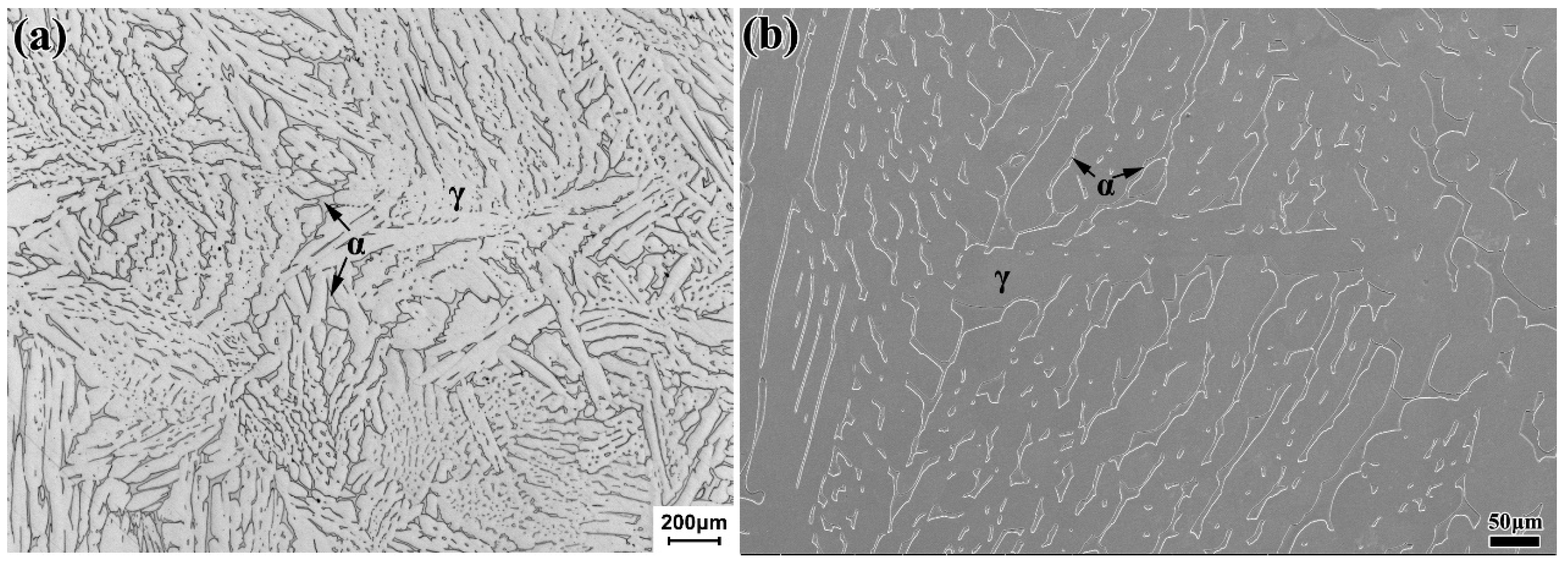Materials 13 03430 g001 Materials 13 03430 g001
