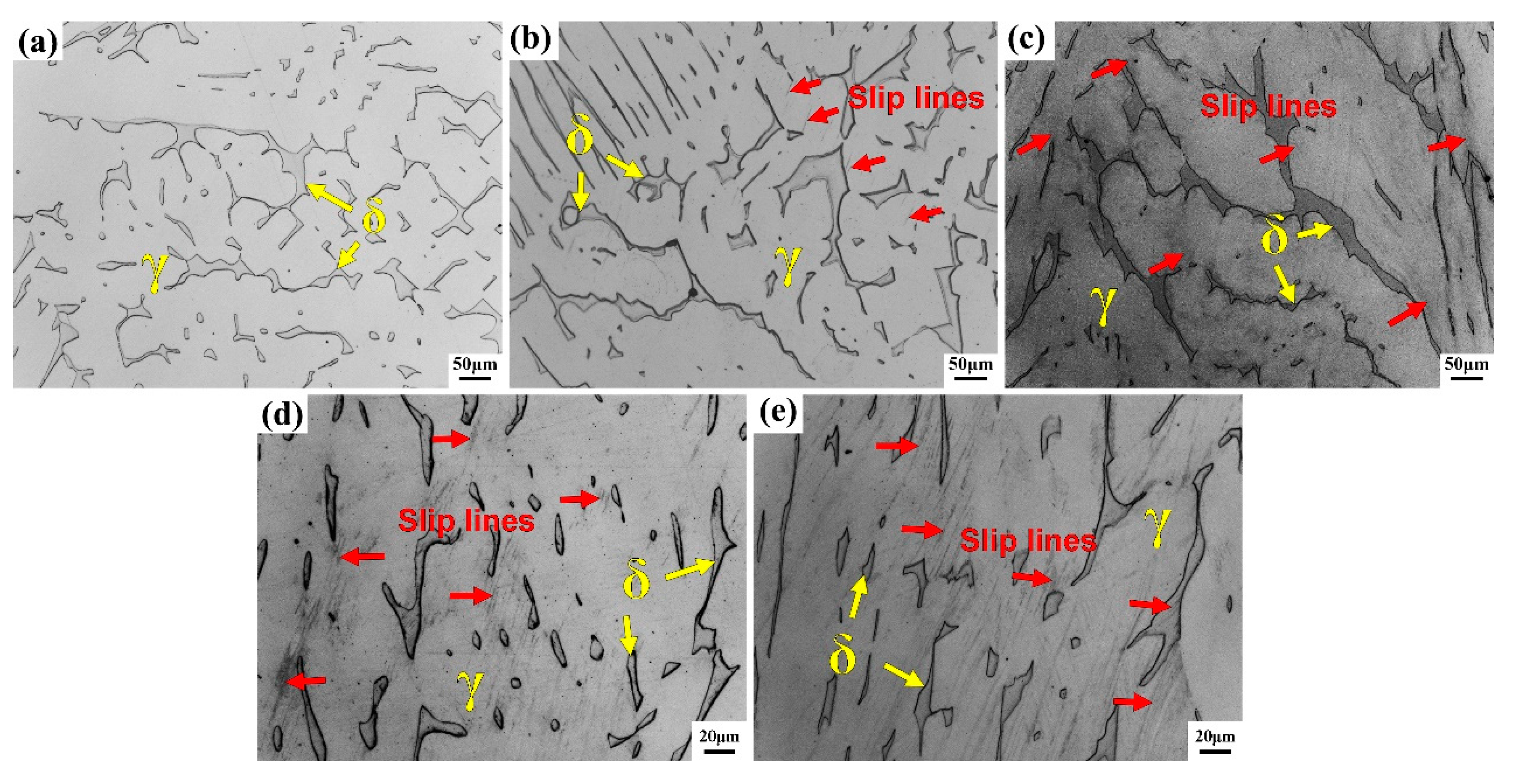 Materials 13 03430 g007 Materials 13 03430 g007