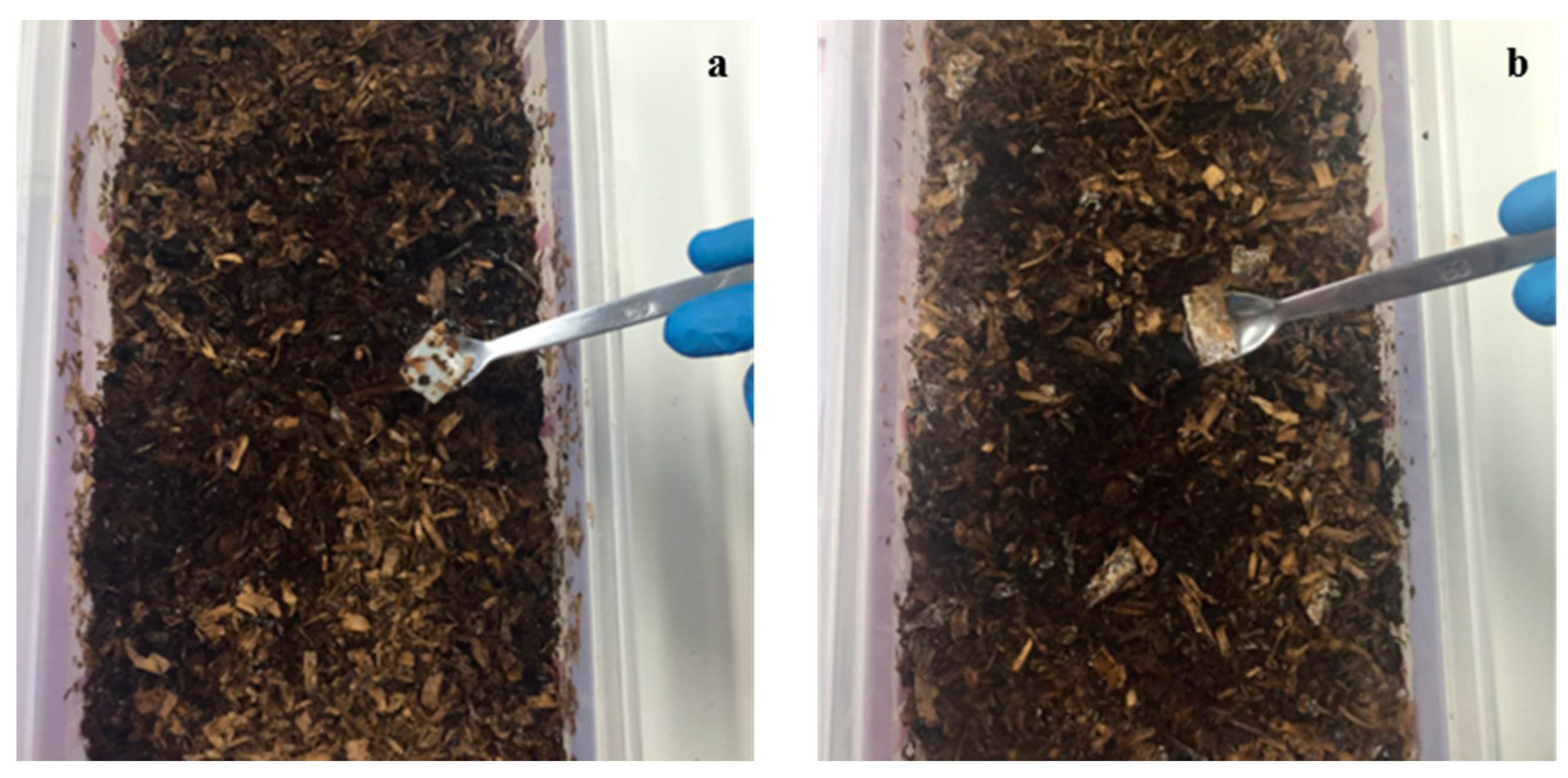 Materials 13 03432 g007