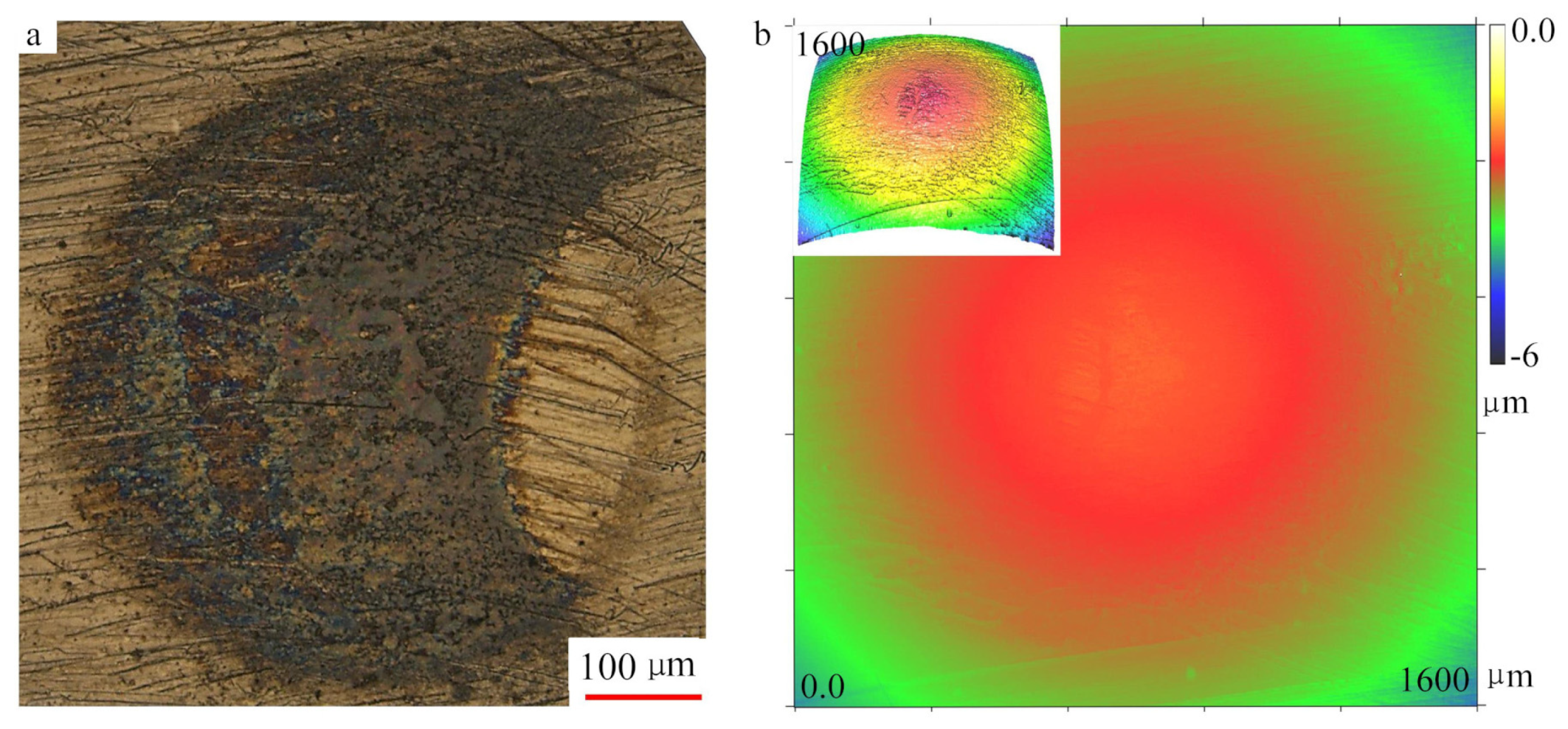 Materials 13 03443 g005