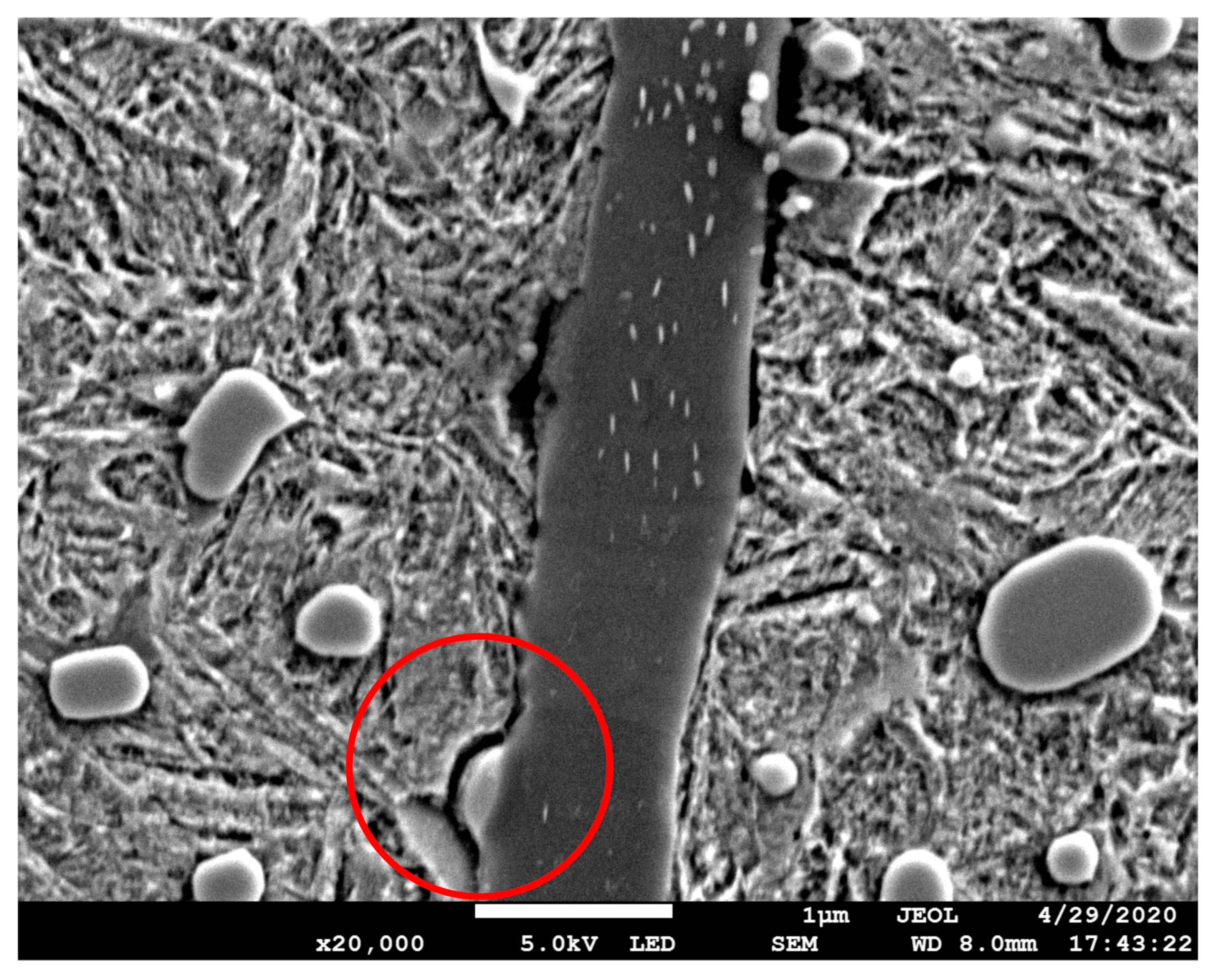 Materials 13 03443 g013