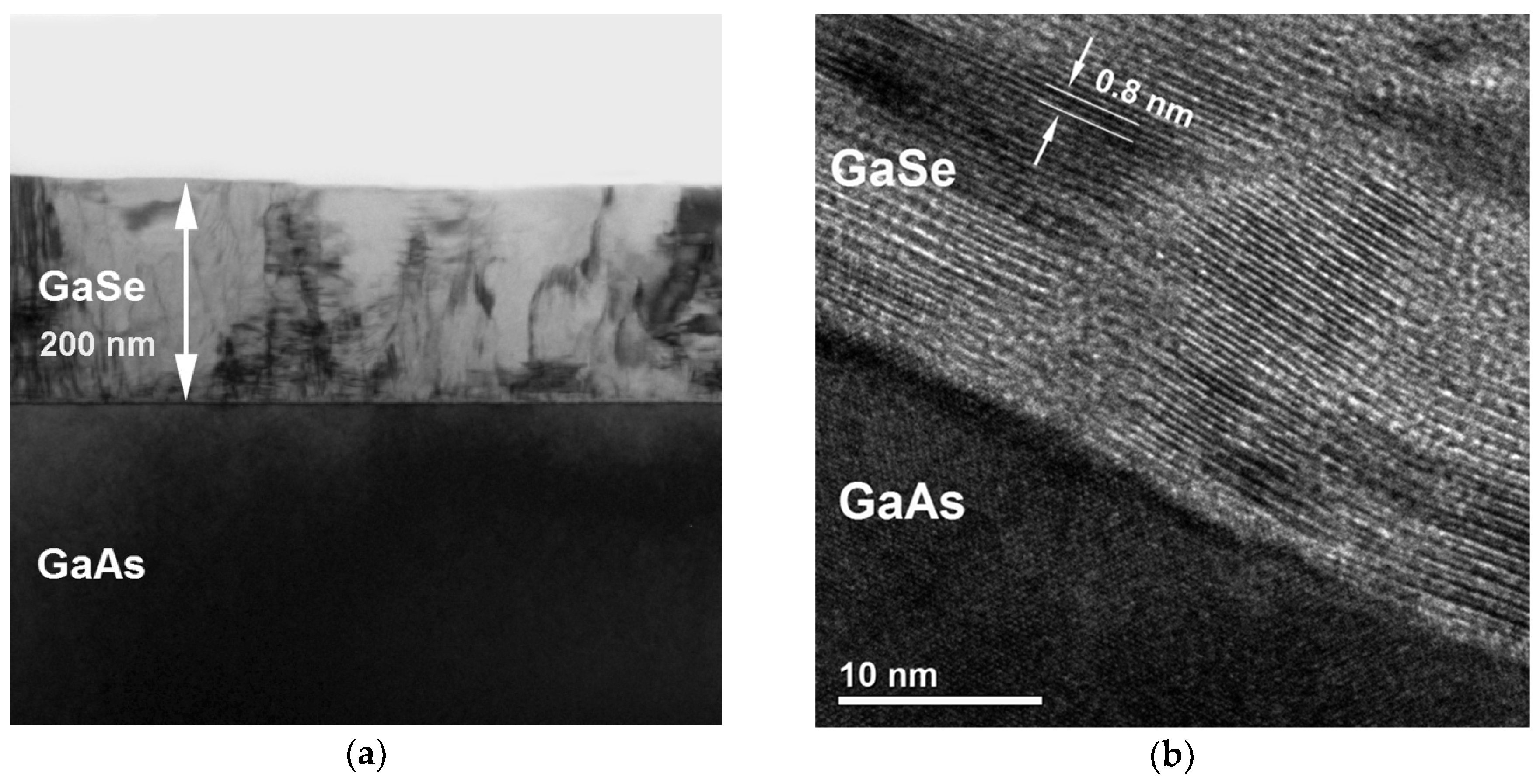 Materials 13 03447 g003