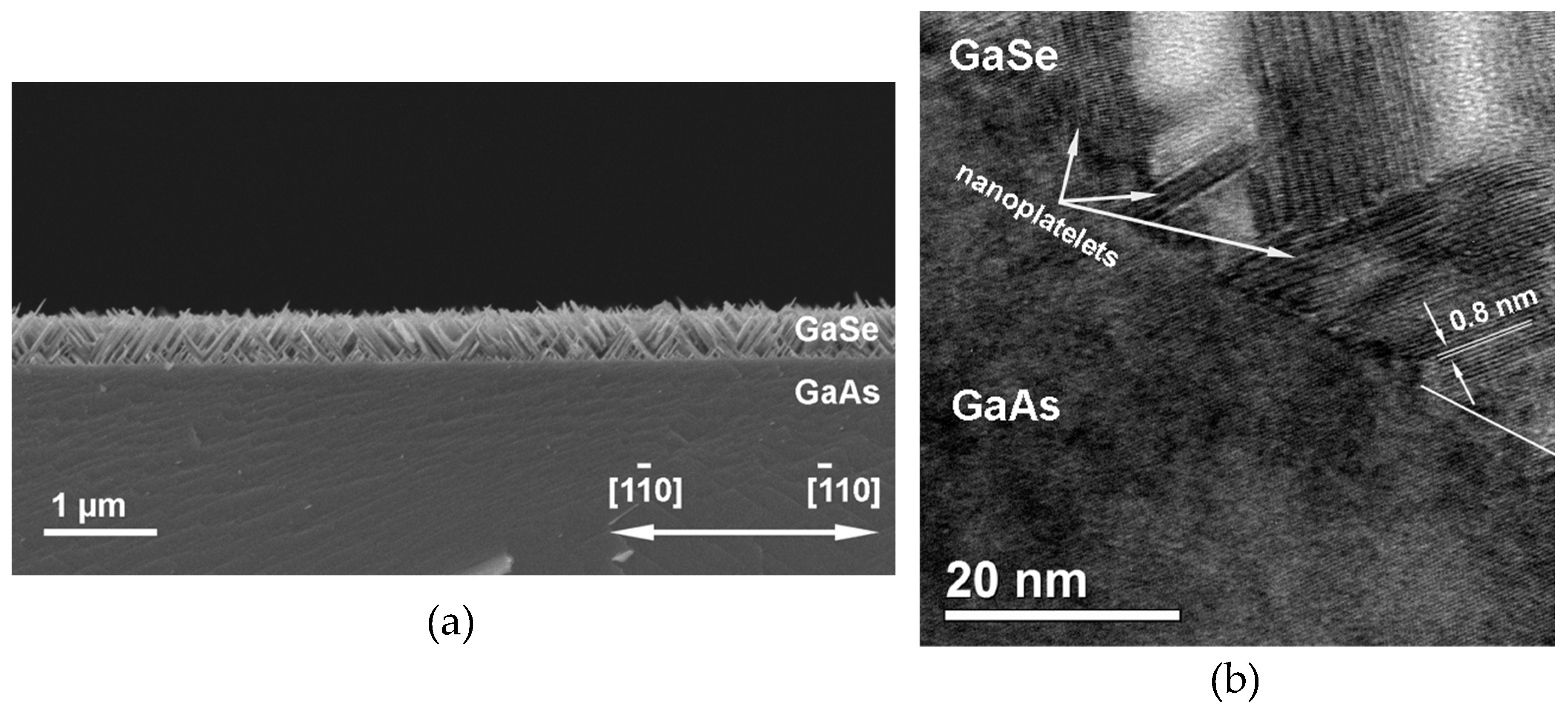 Materials 13 03447 g004