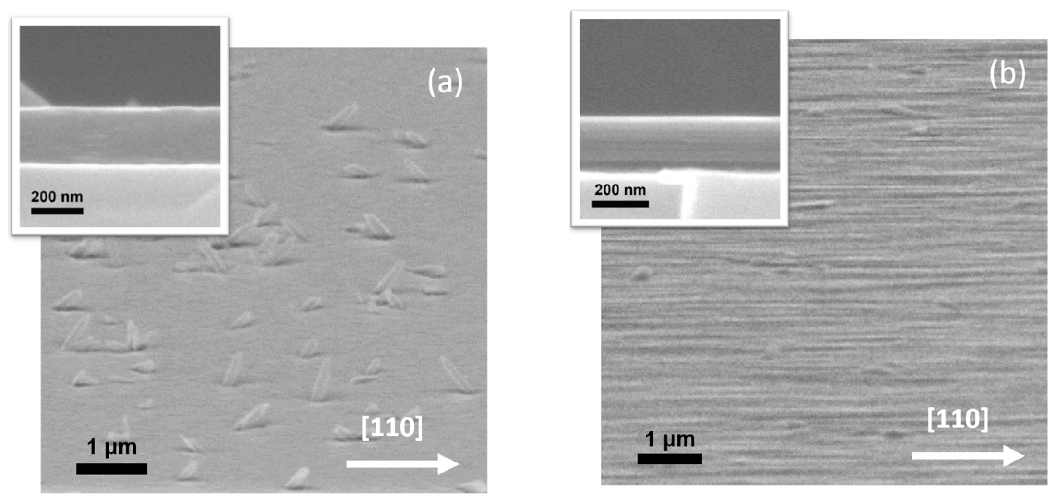 Materials 13 03447 g015