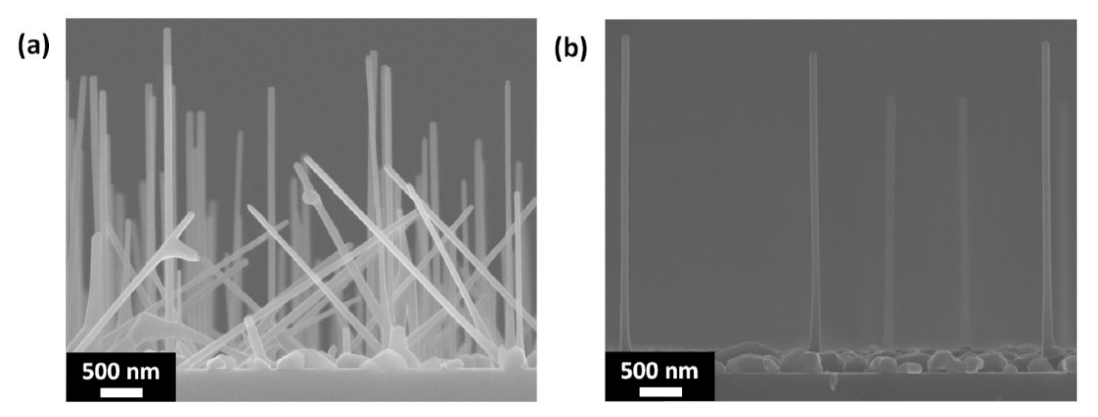 Materials 13 03449 g002