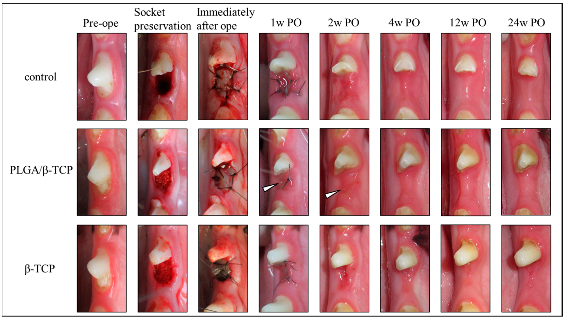 Materials 13 03452 g002