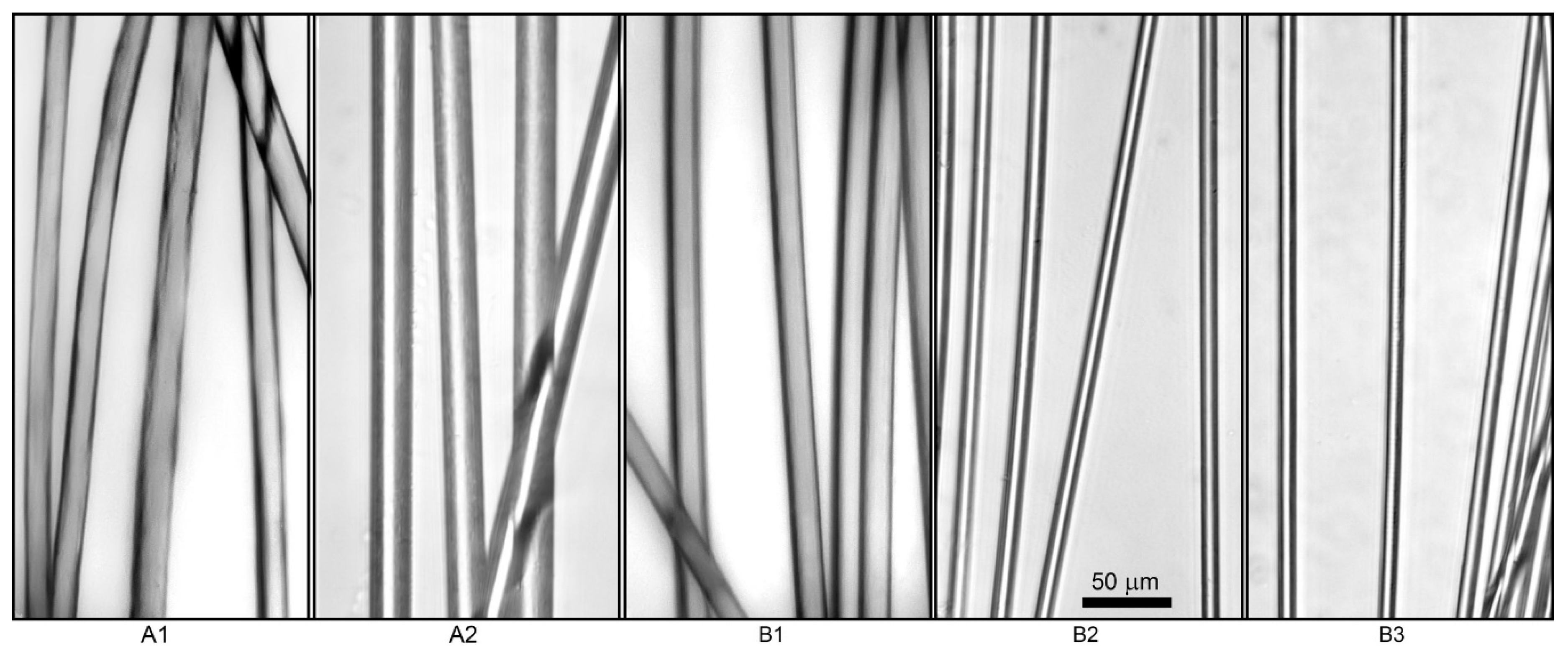 Materials 13 03454 g013 Materials 13 03454 g013