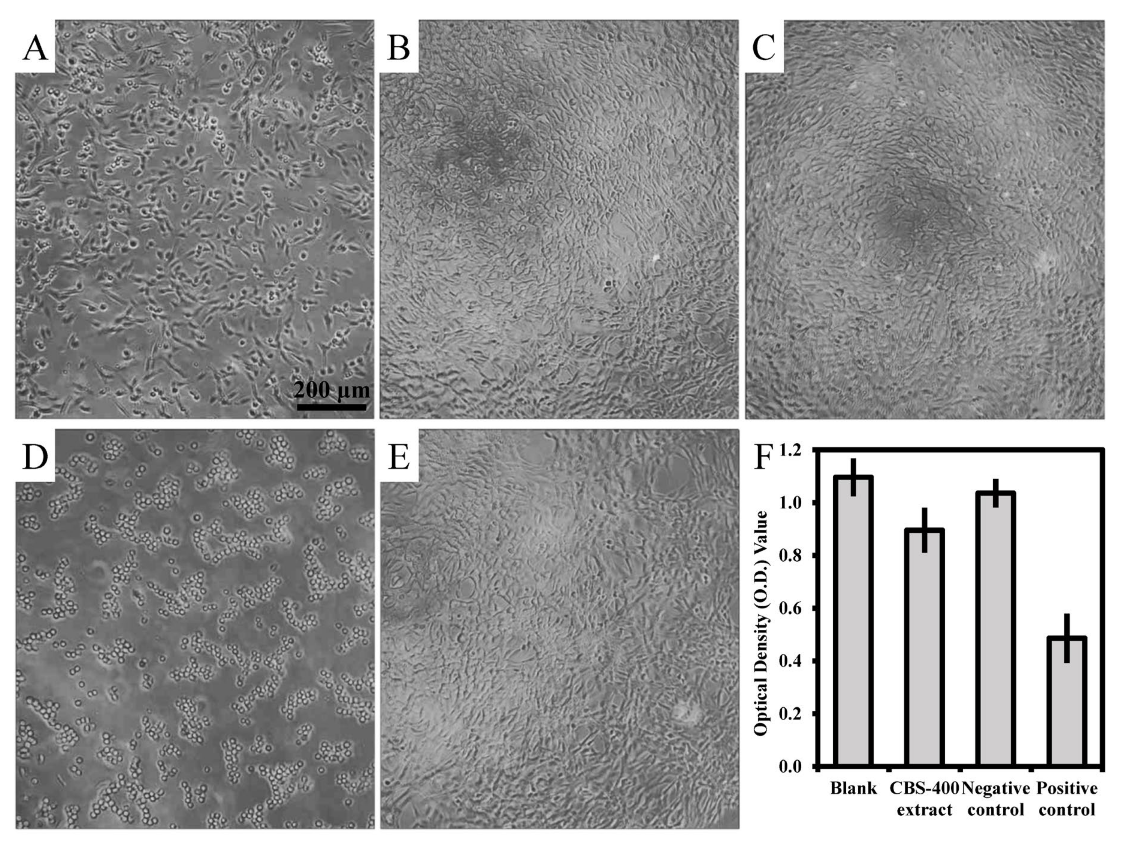 Materials 13 03458 g007 Materials 13 03458 g007