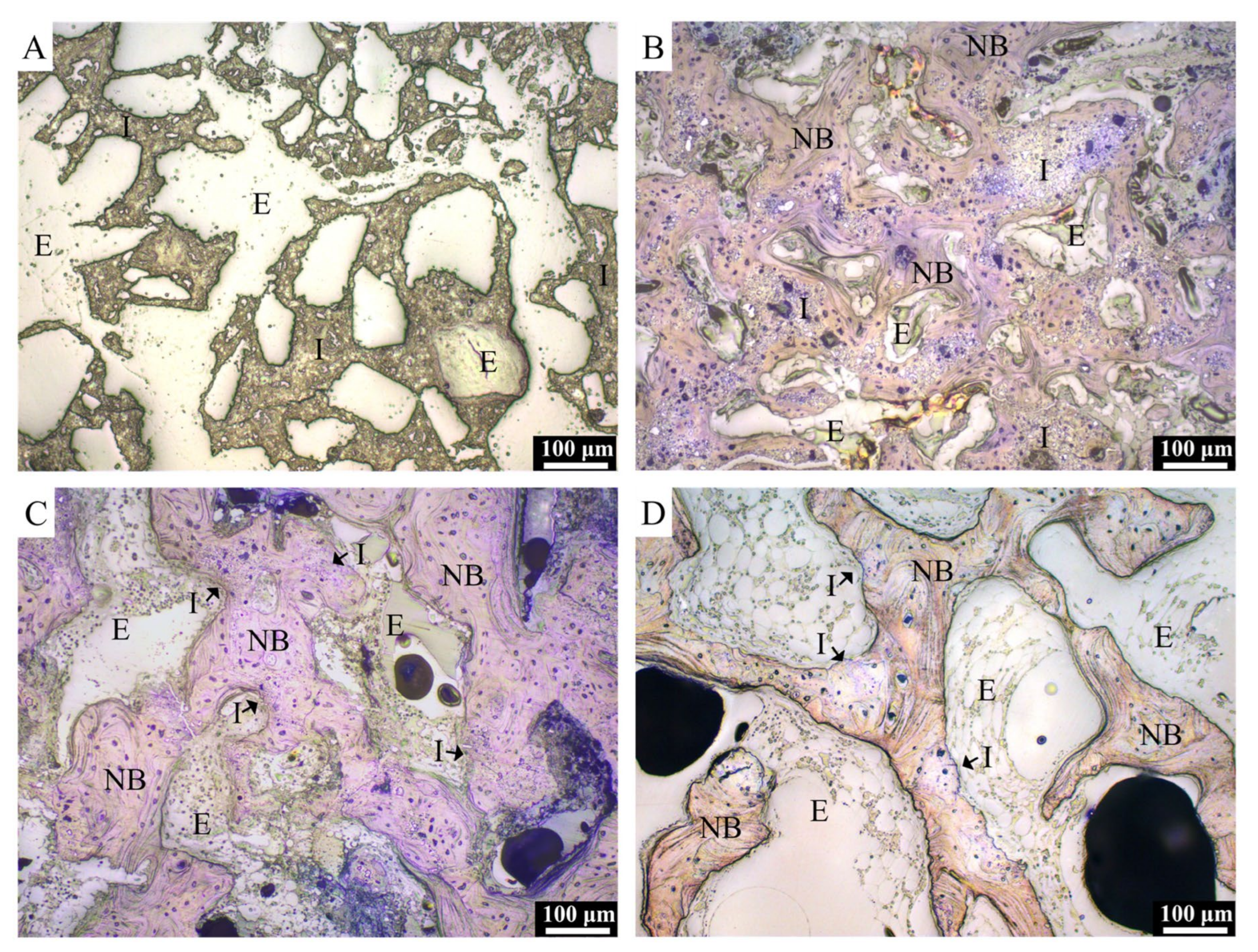 Materials 13 03458 g009 Materials 13 03458 g009