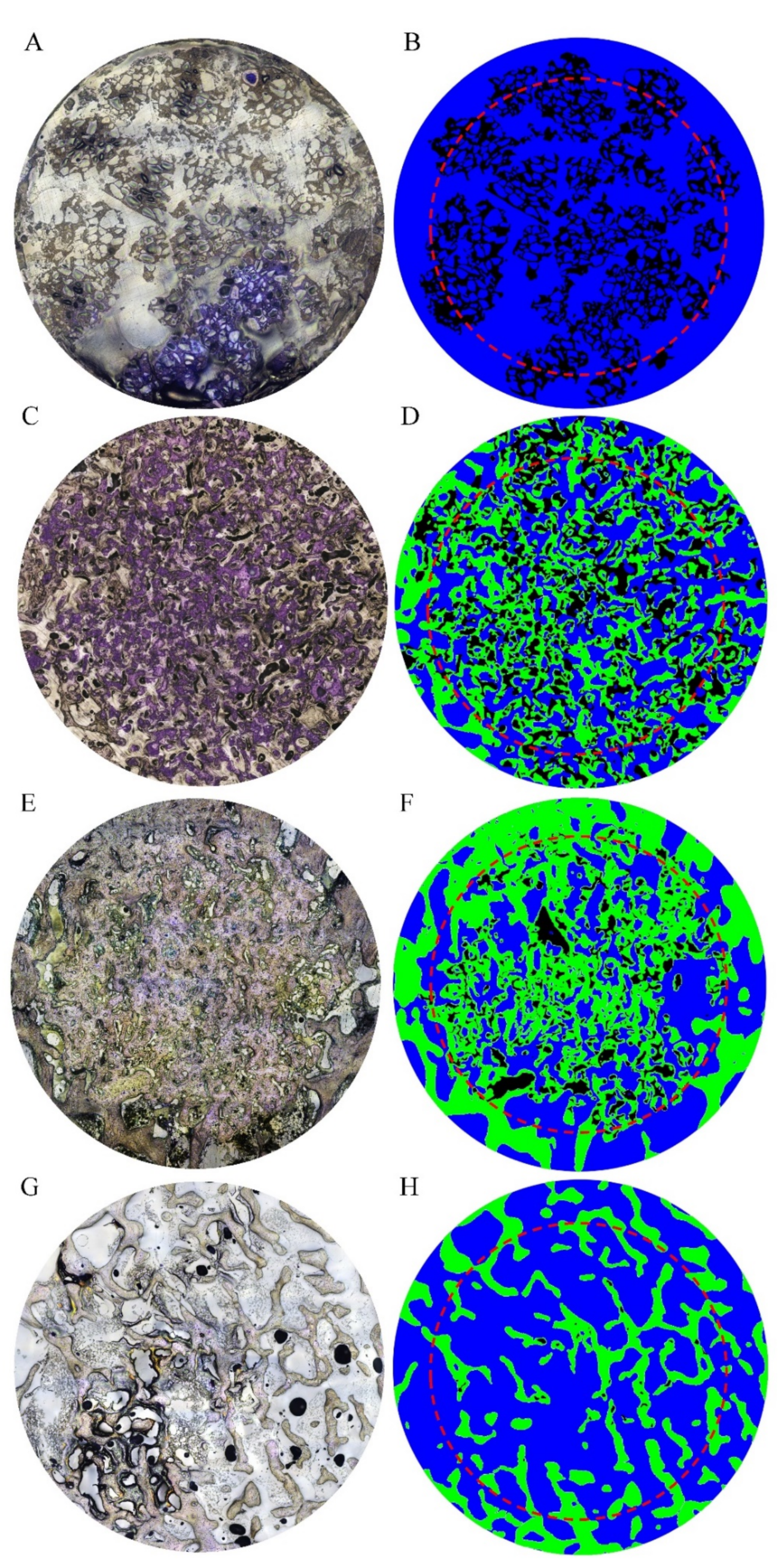 Materials 13 03458 g010 Materials 13 03458 g010