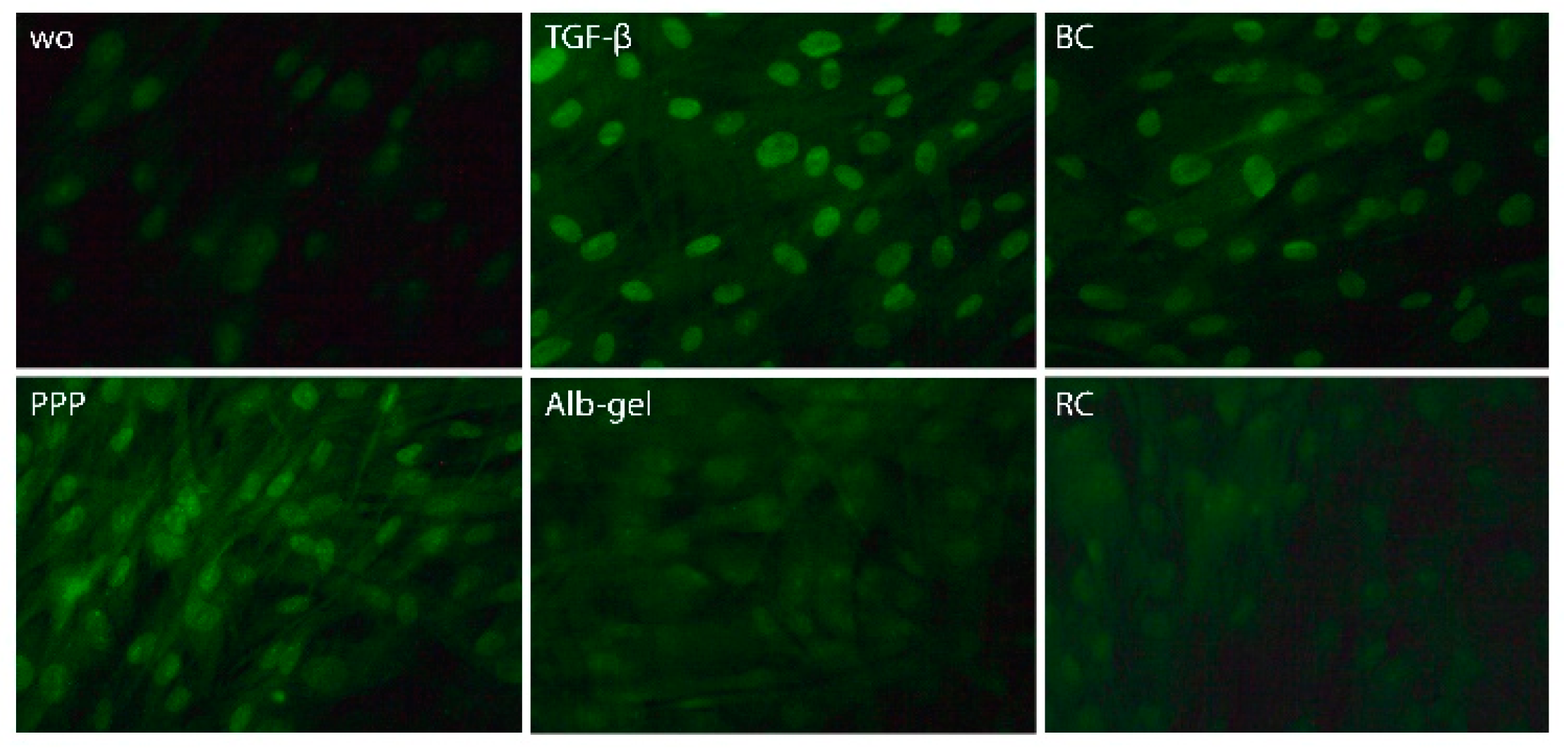 Materials 13 03466 g005 Materials 13 03466 g005