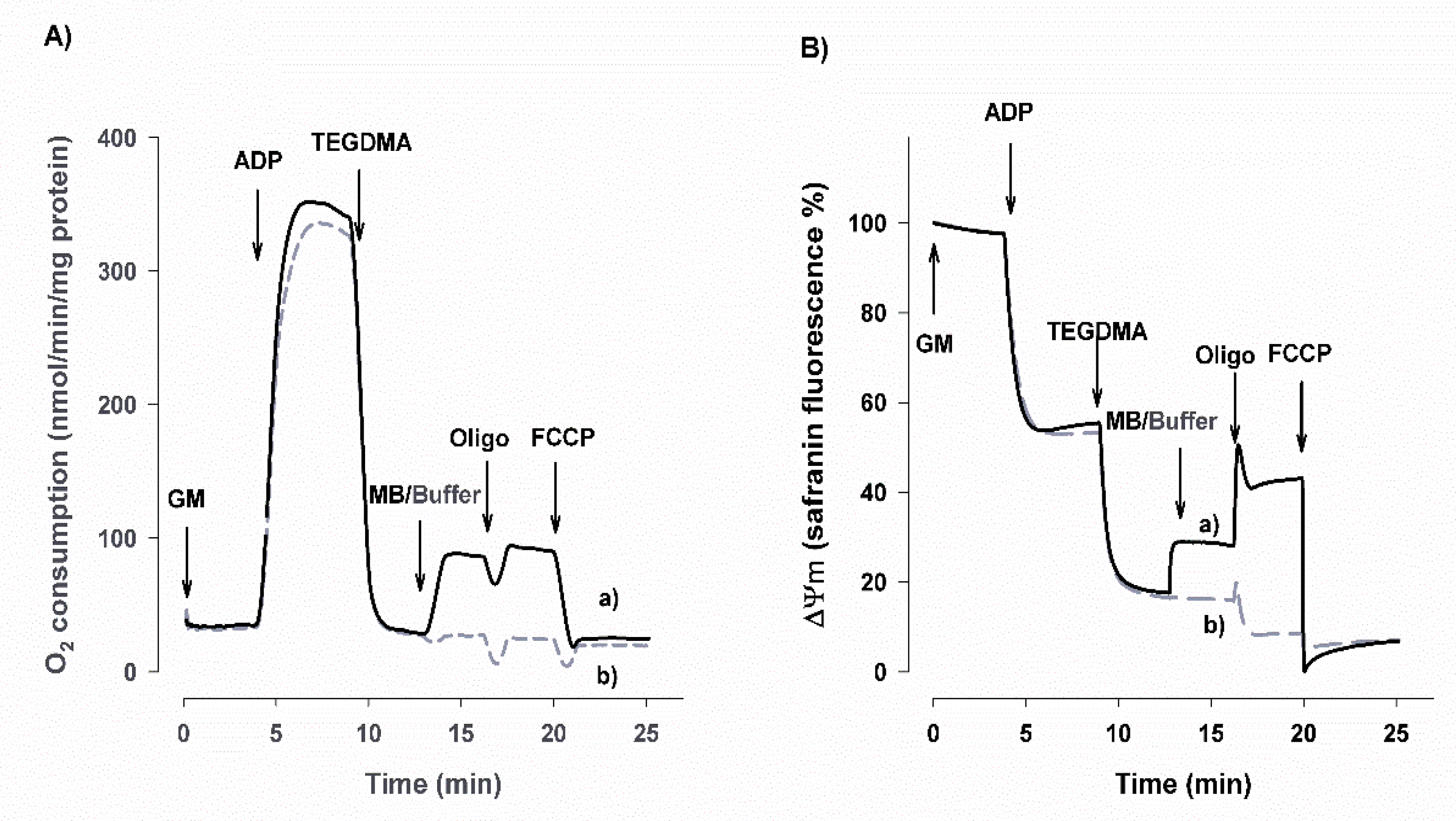 Materials 13 03472 g001