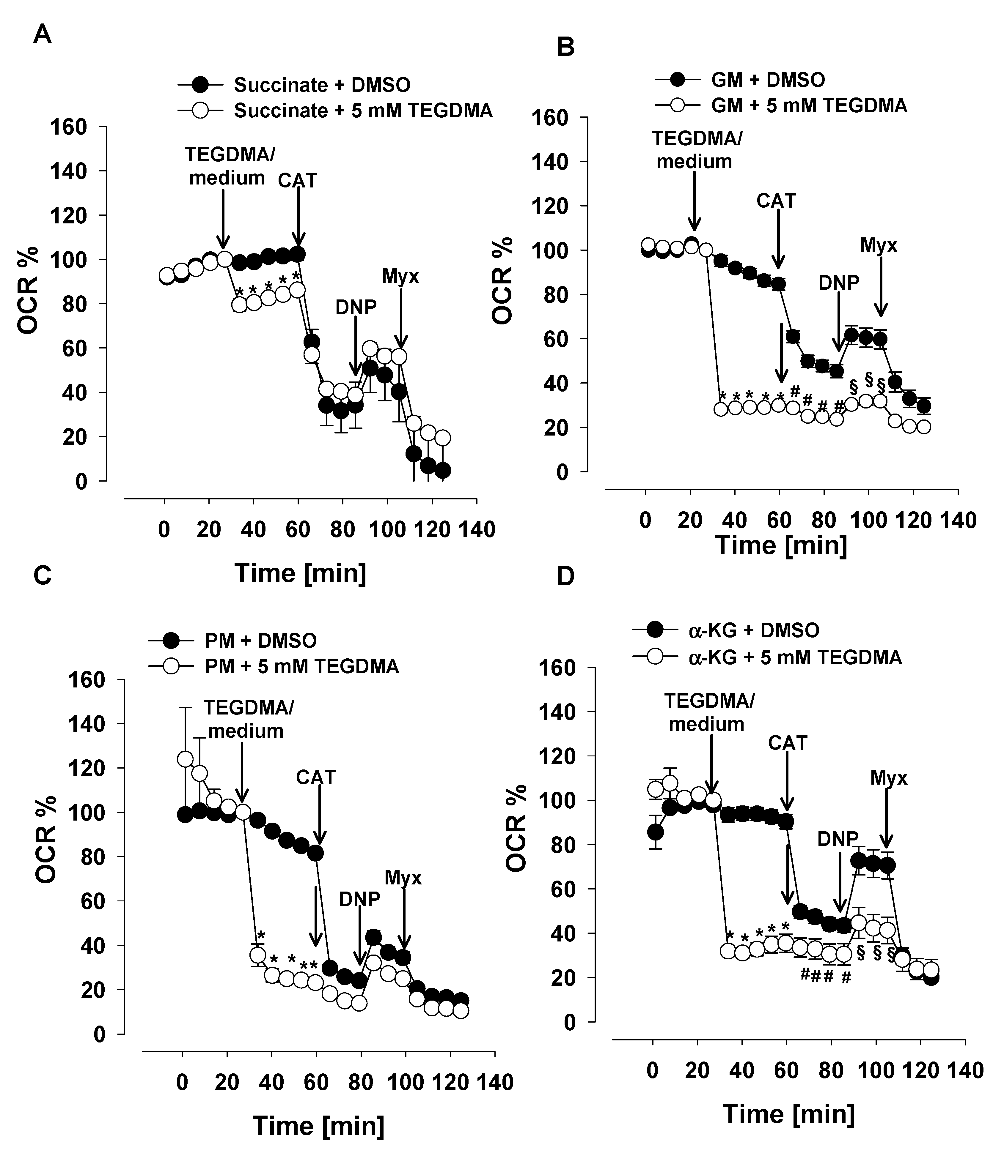 Materials 13 03472 g002
