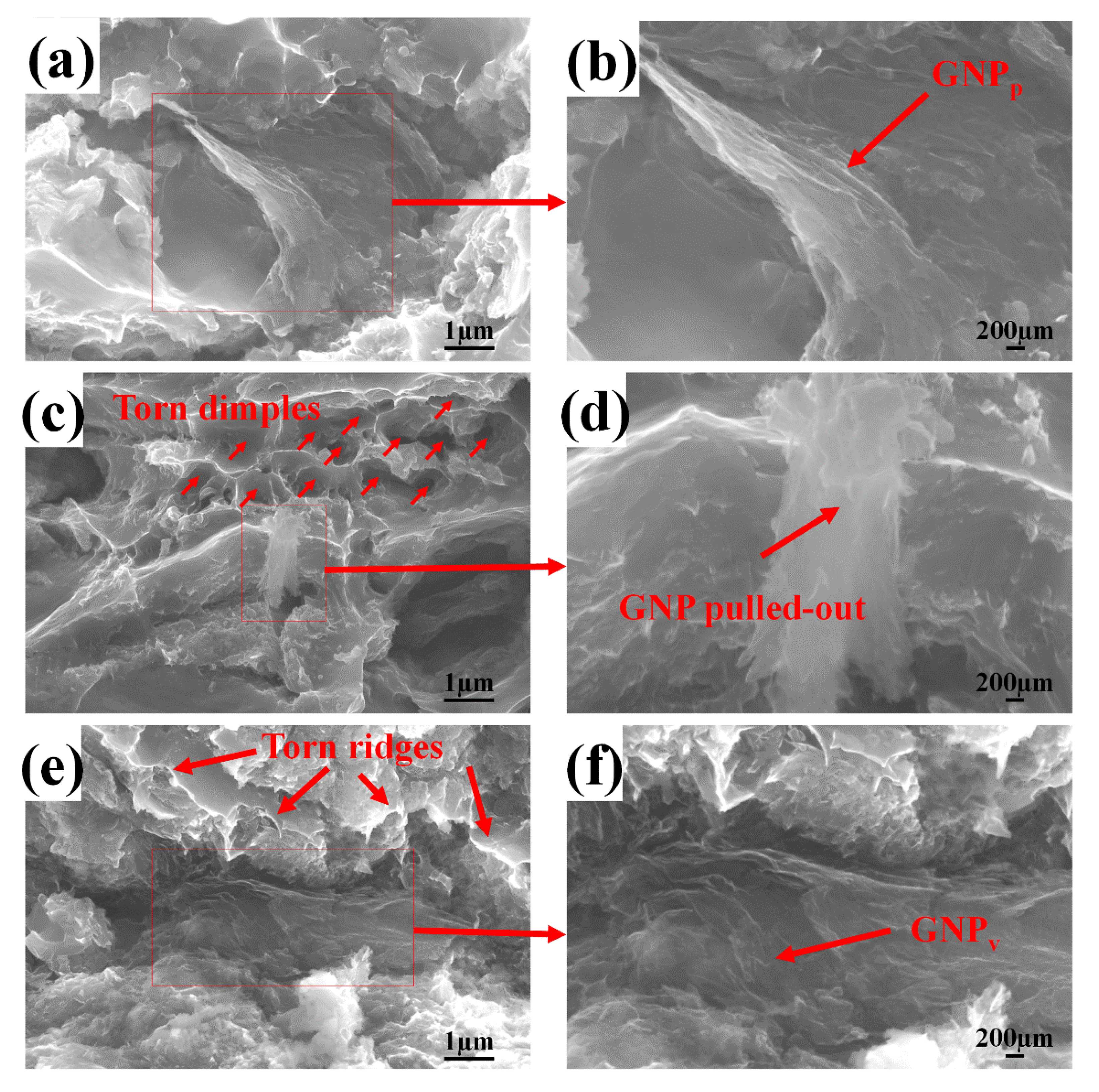 Materials 13 03483 g017