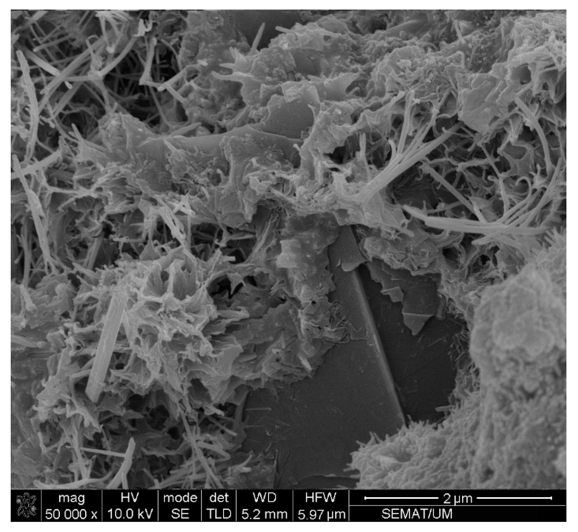 Materials 13 03484 g017 Materials 13 03484 g017