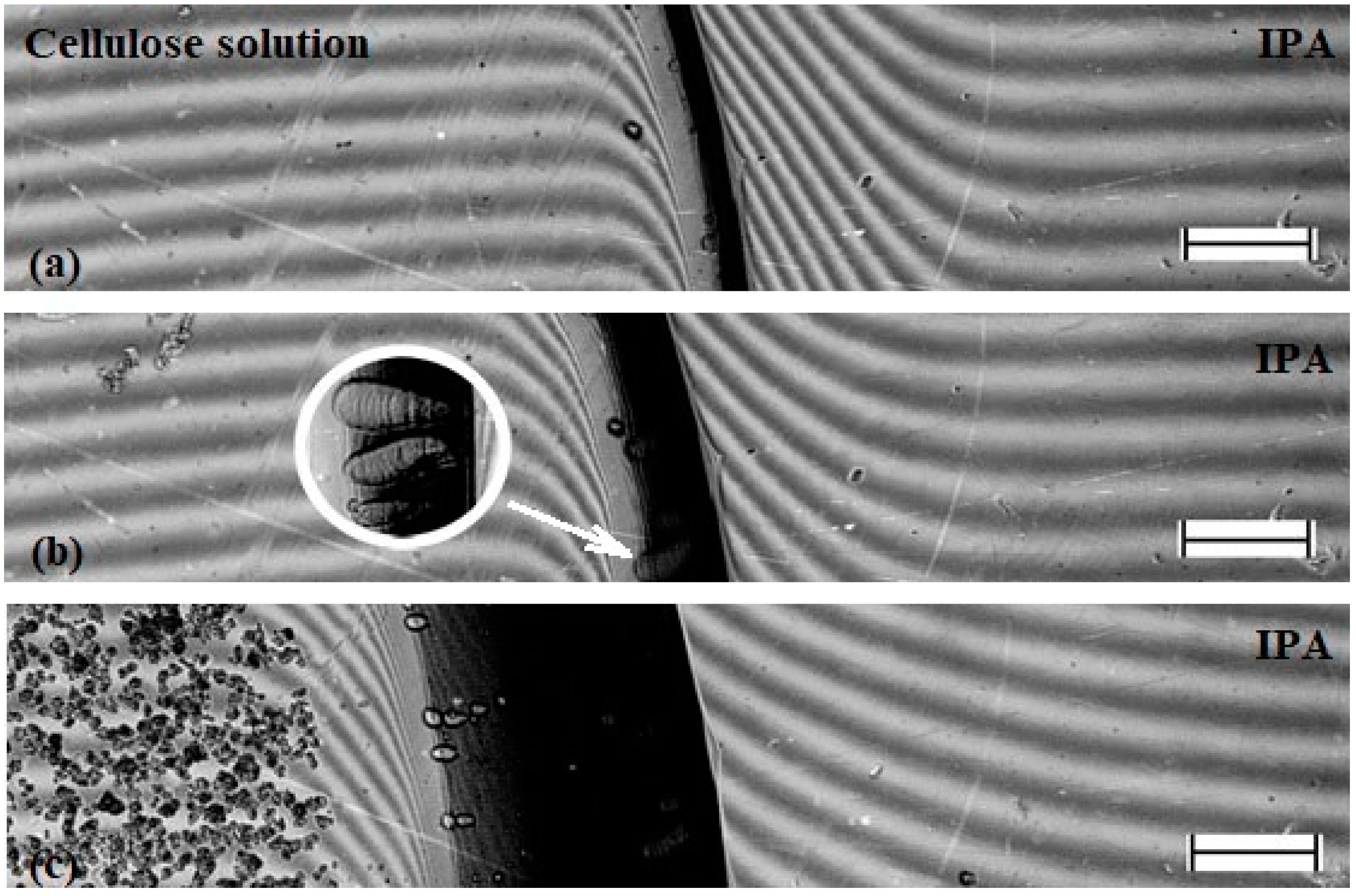 Materials 13 03495 g009