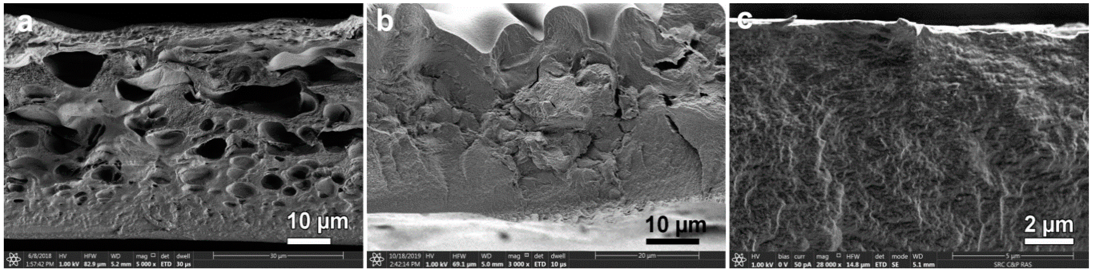 Materials 13 03495 g010