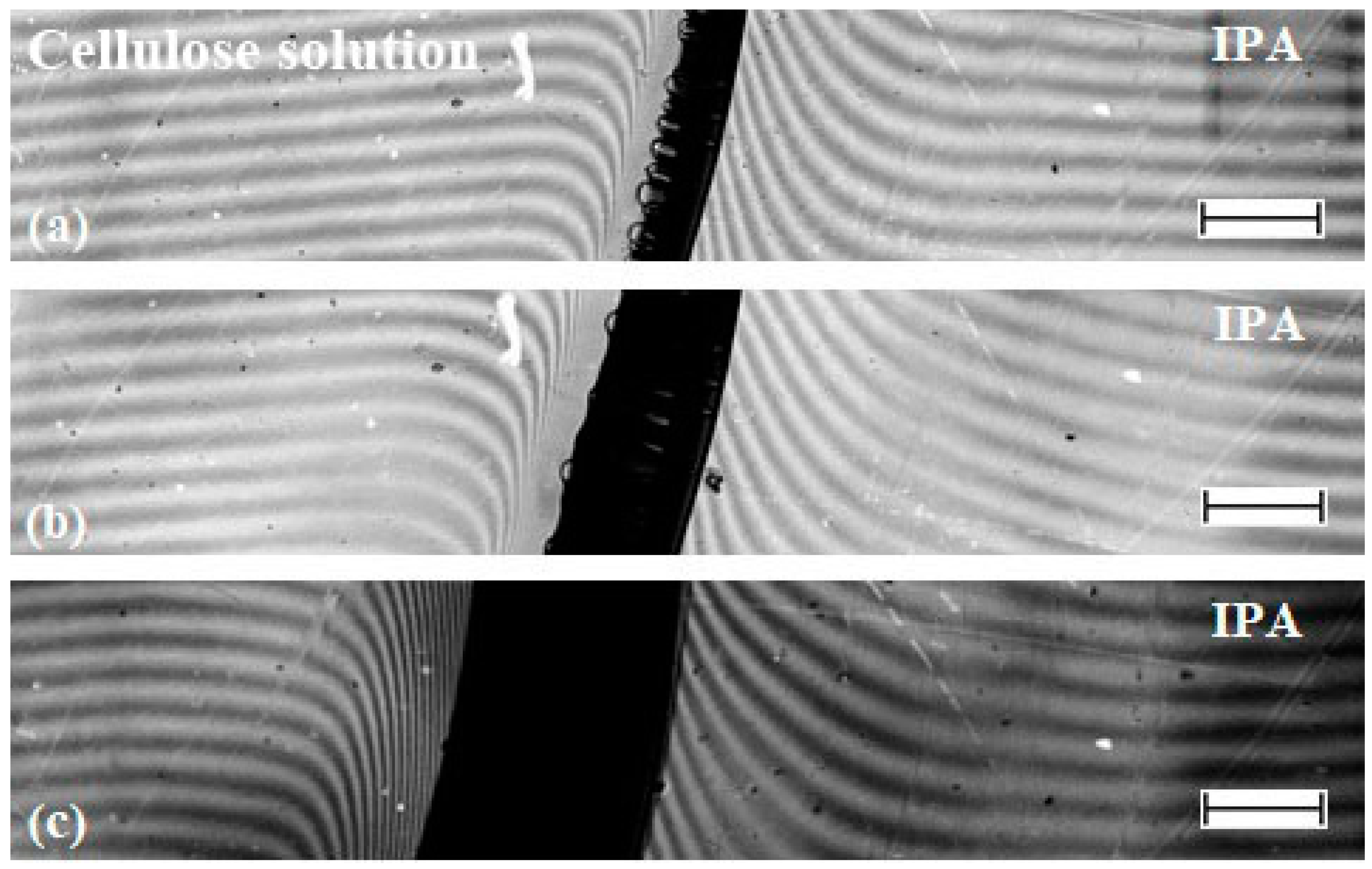 Materials 13 03495 g012