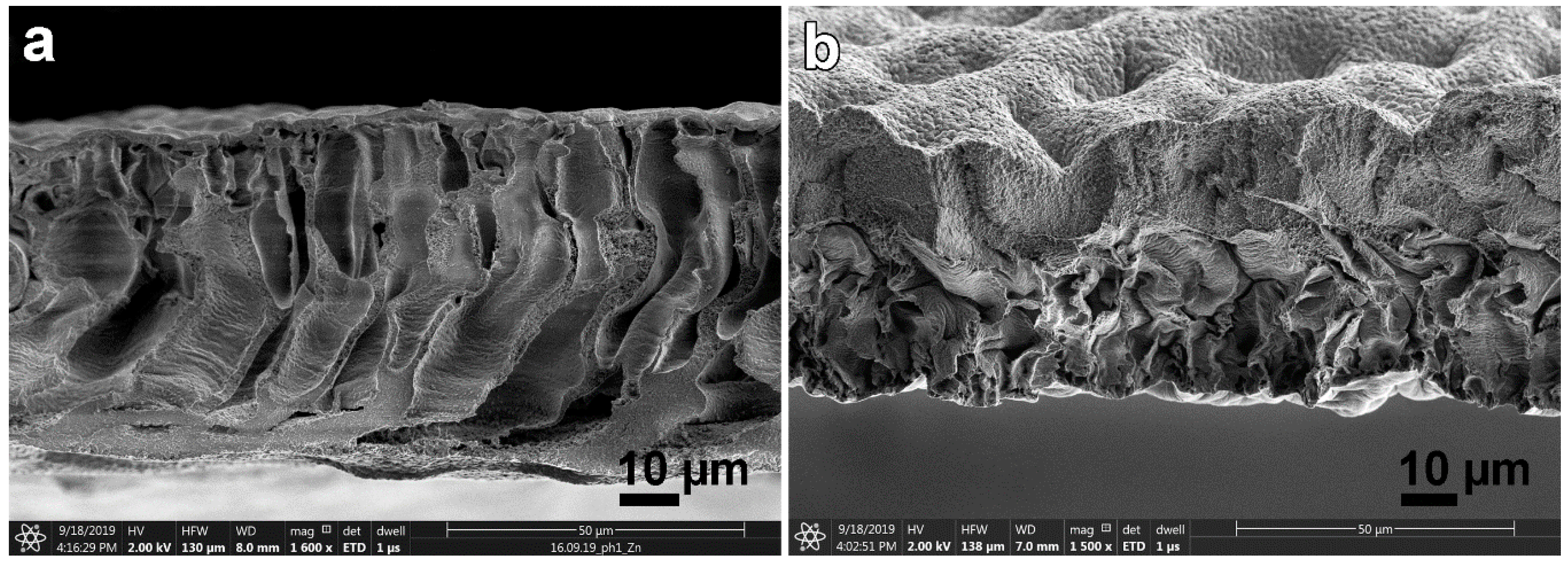 Materials 13 03495 g017