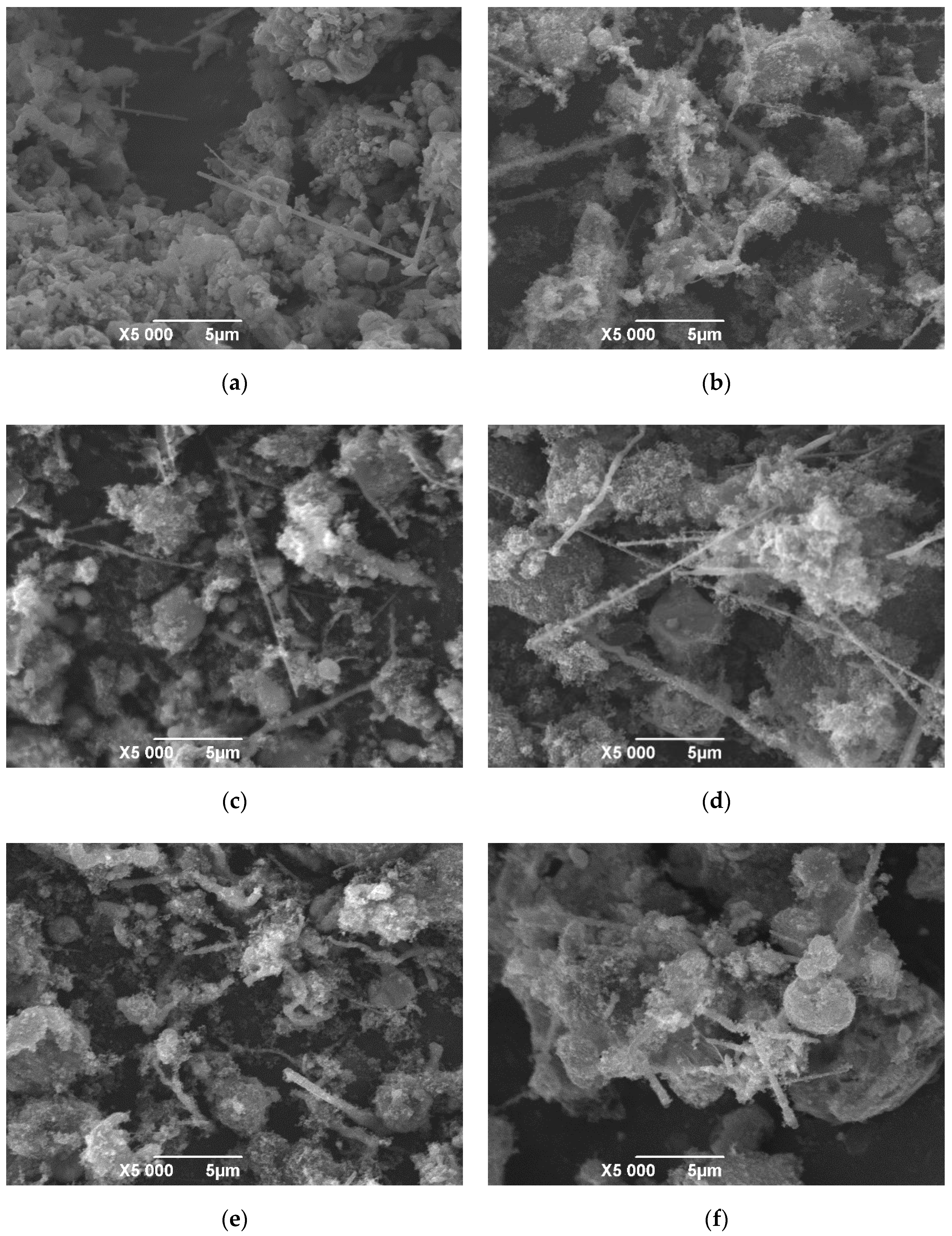 Materials 13 03502 g006