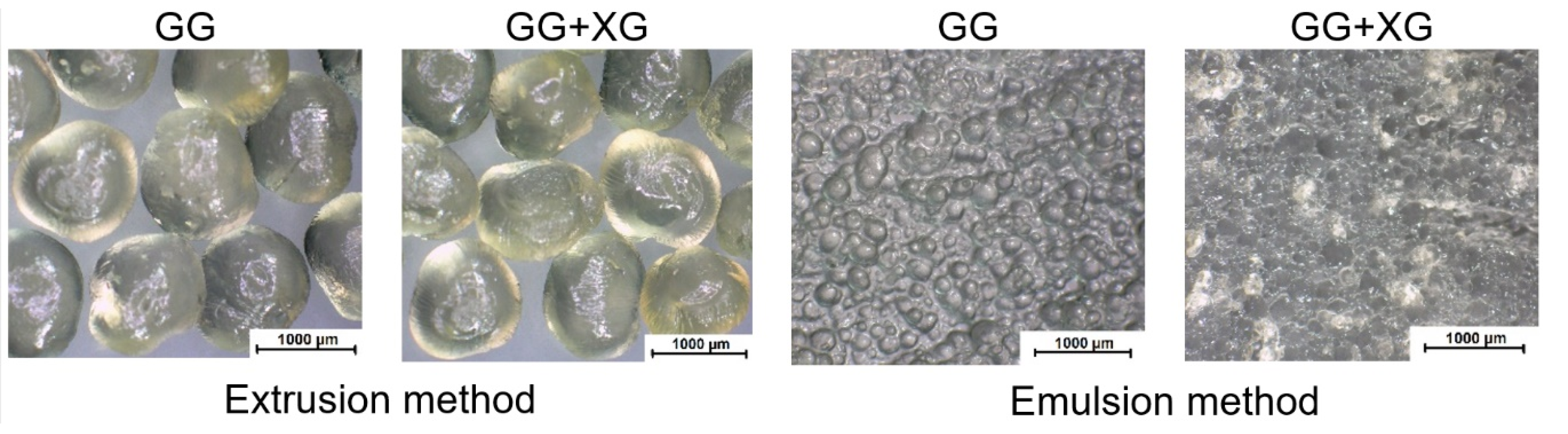 Materials 13 03507 g001 Materials 13 03507 g001