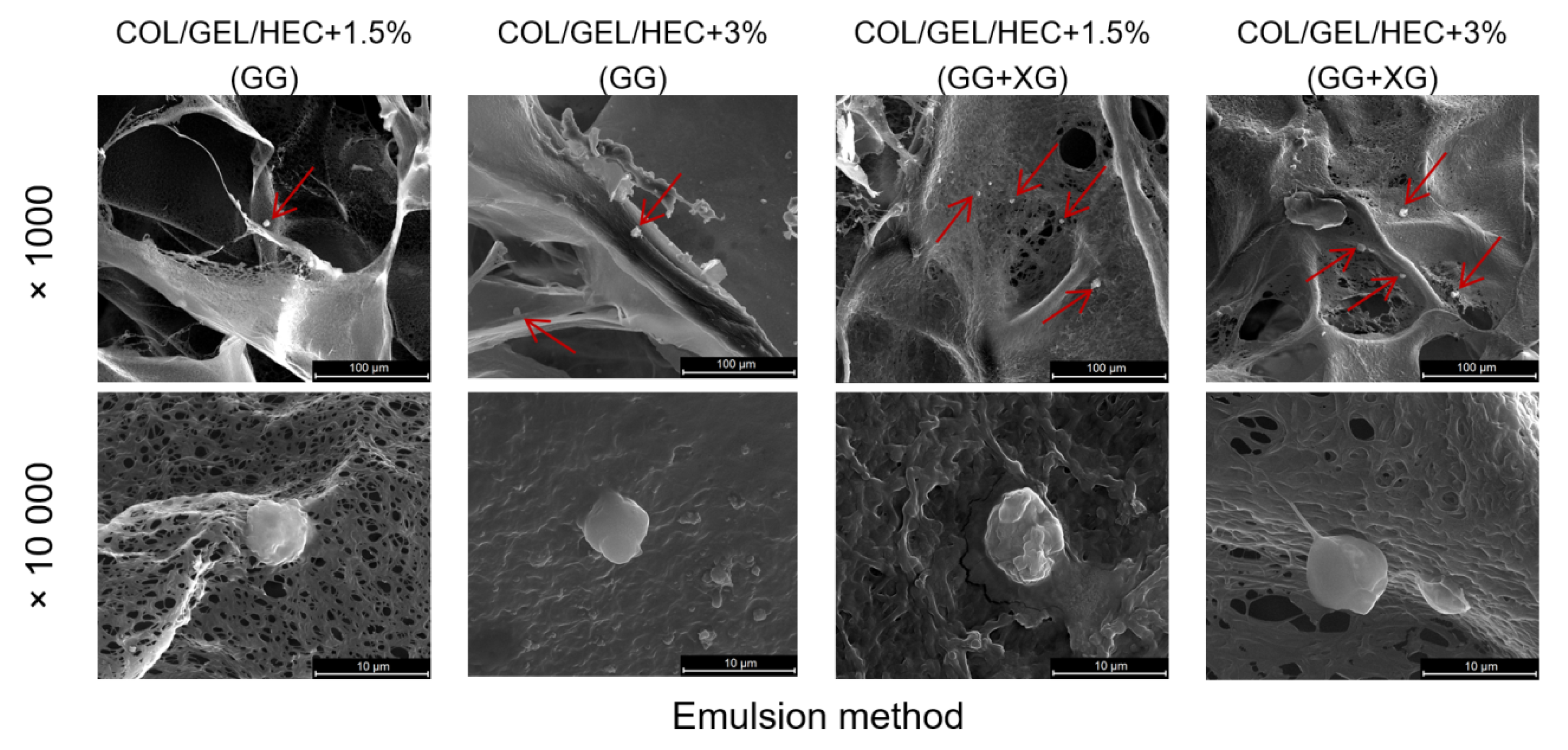 Materials 13 03507 g002 Materials 13 03507 g002
