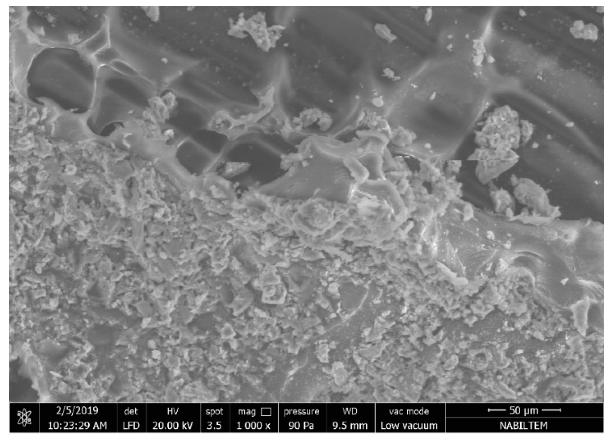 Materials 13 03508 g017